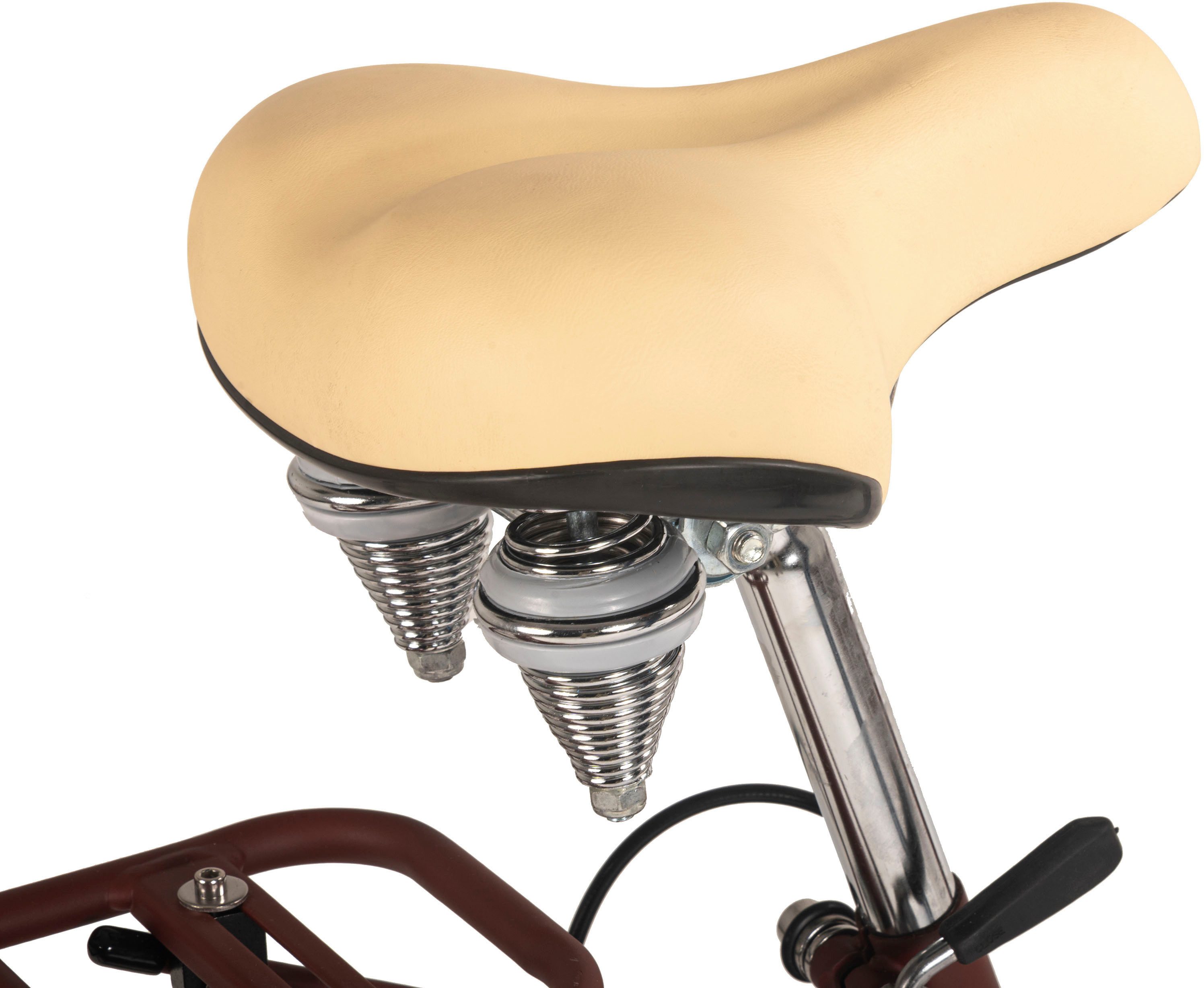 Dacapo Citybike Balloon damesfiets 28'' bruin 6 versnellingen 48 cm
