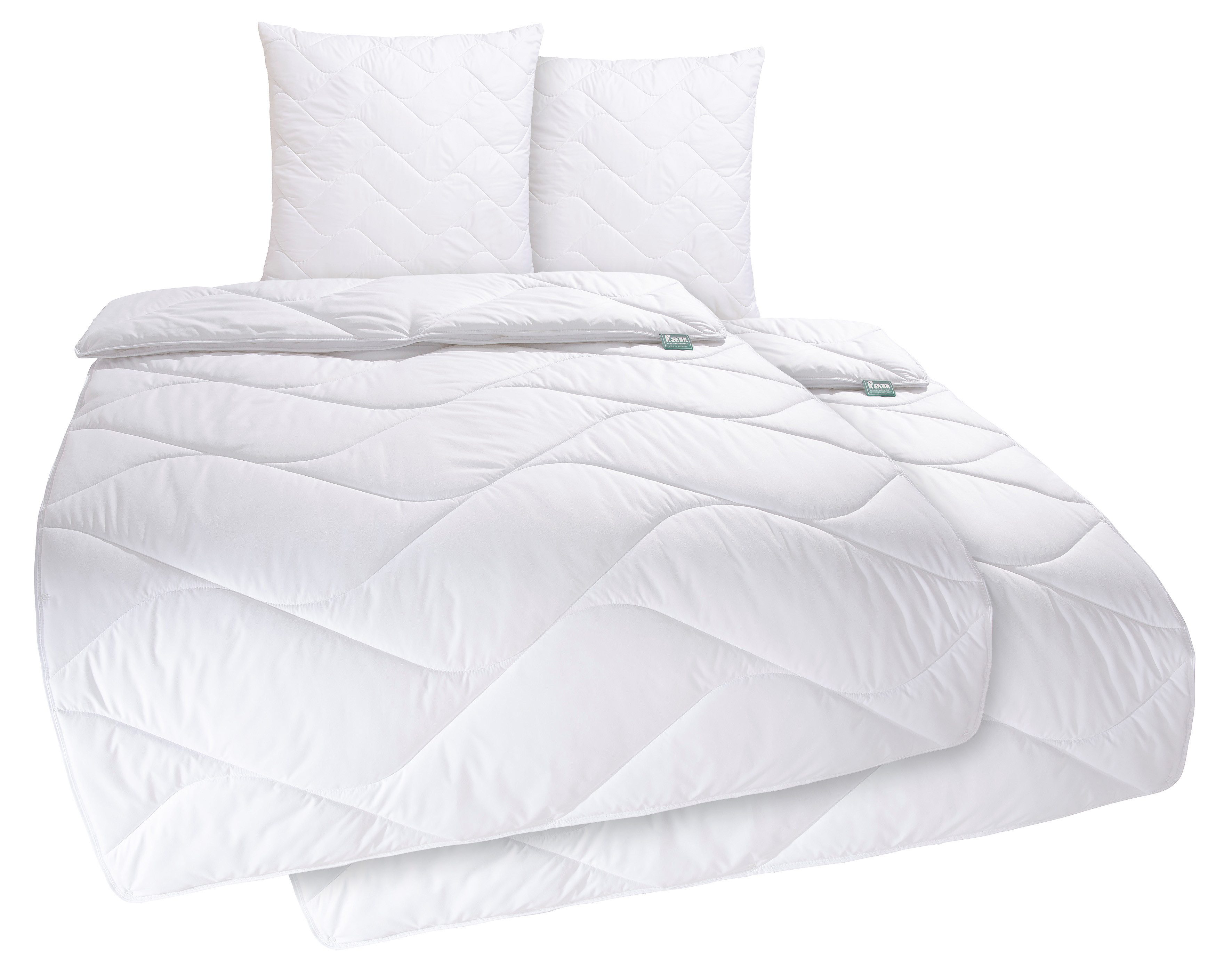 f.a.n. Frankenstolz Synthetisch dekbed + hoofdkussen Beddengoed in 135x200 cm, voor zomer of 4-seizoenen (voordeelset)