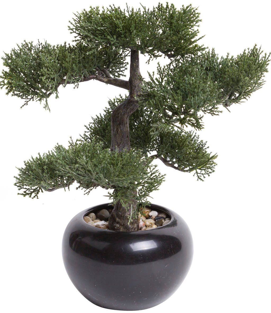 Botanic-Haus Kunstbonsai Ceder Bonsai (1 stuk)