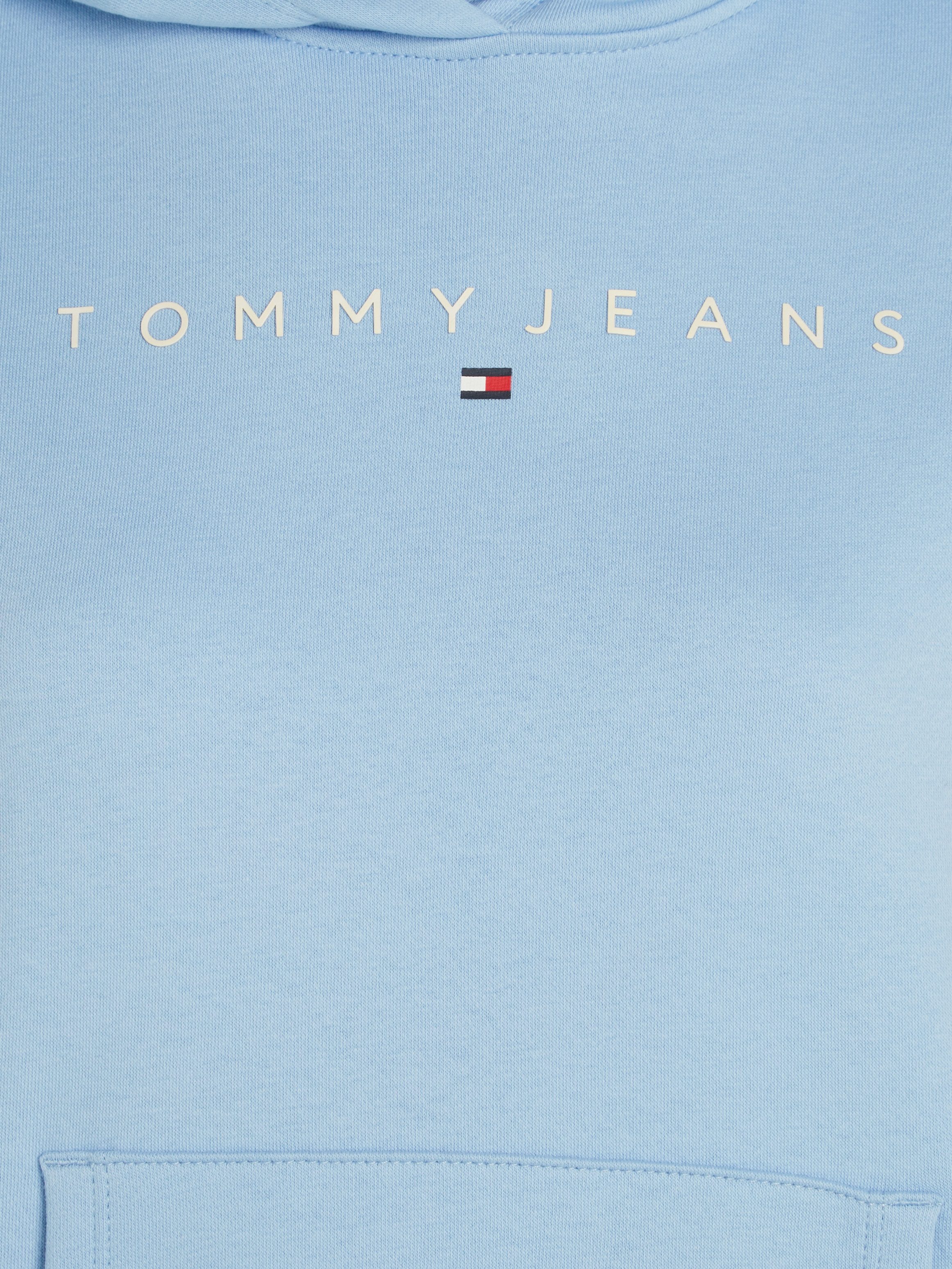 TOMMY JEANS Hoodie TJW REG LINEAR HOODIE met een logo-opschrift