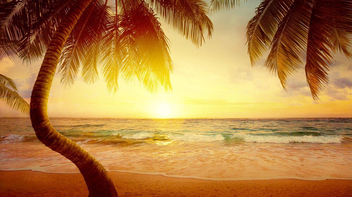 papermoon fotobehang tropisch strand zonsopkomst vliesbehang, eersteklas digitale print multicolor