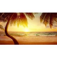 papermoon fotobehang tropischer strand sonnenaufgang multicolor