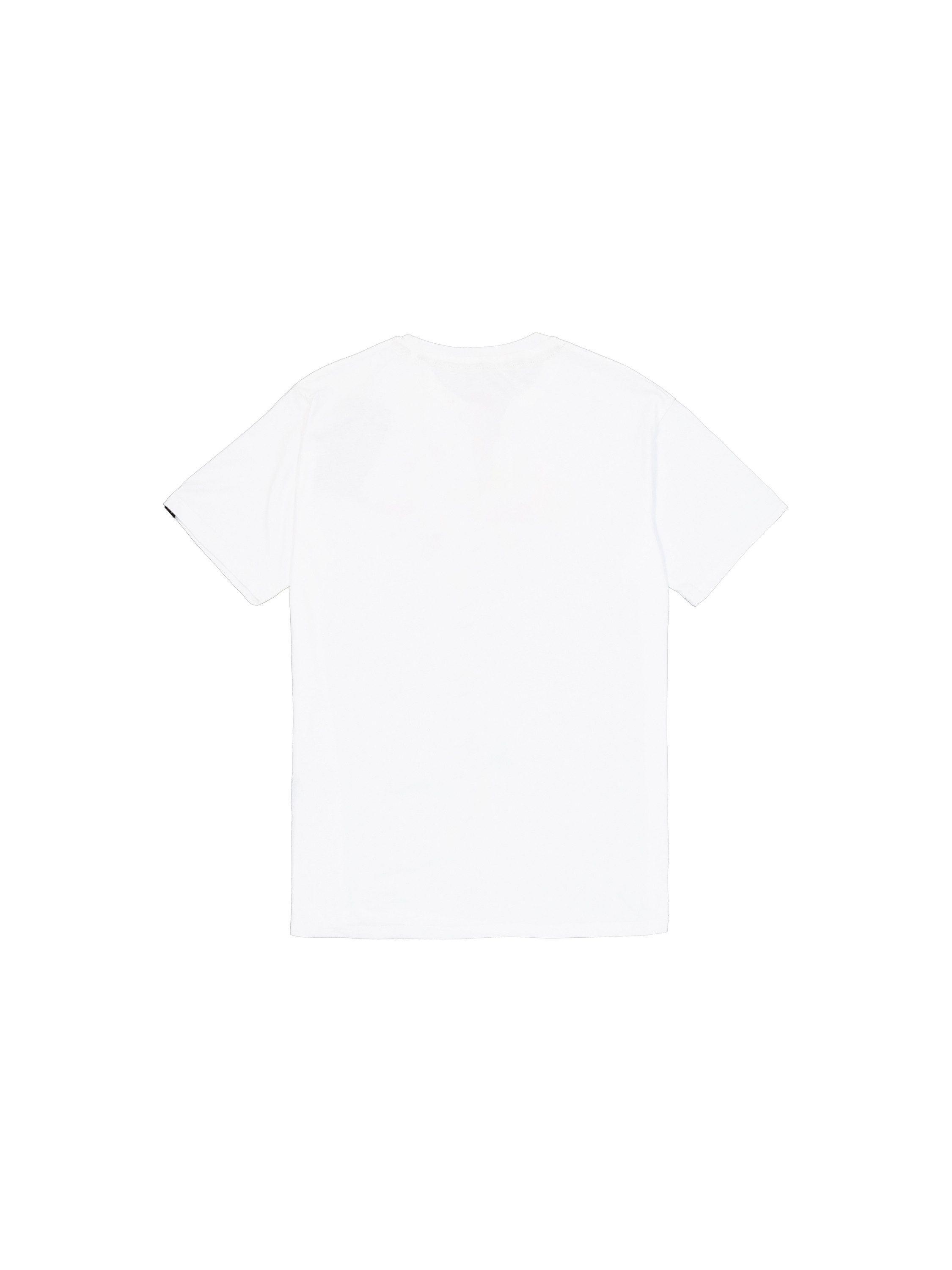 Alpha Industries T-shirt Basic Mid Logo TPU T-Shirt