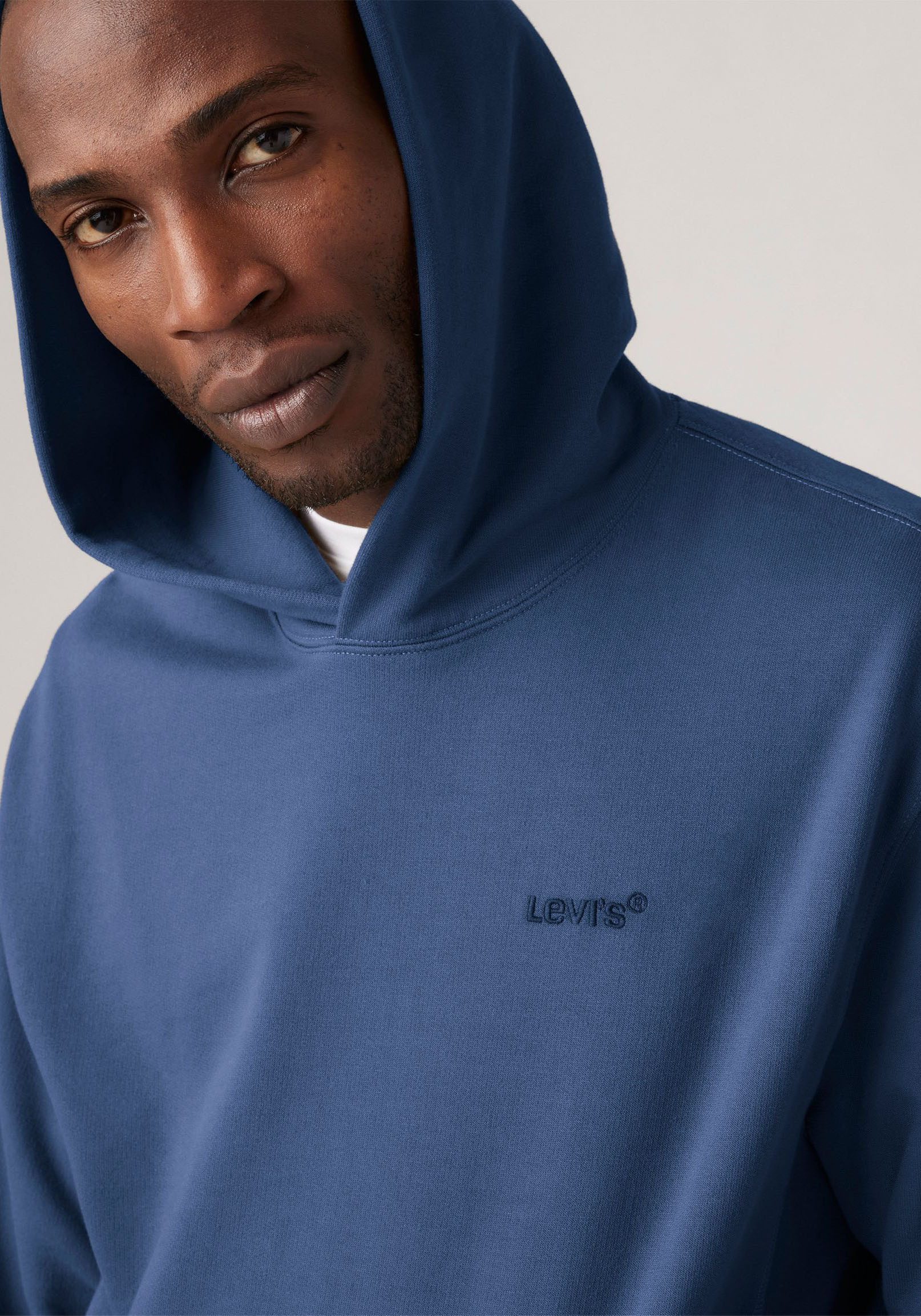 Levi's® Hoodie THE AUTHENTIC HOODIE met kleine ton-sur-ton logo-borduursel op de borst