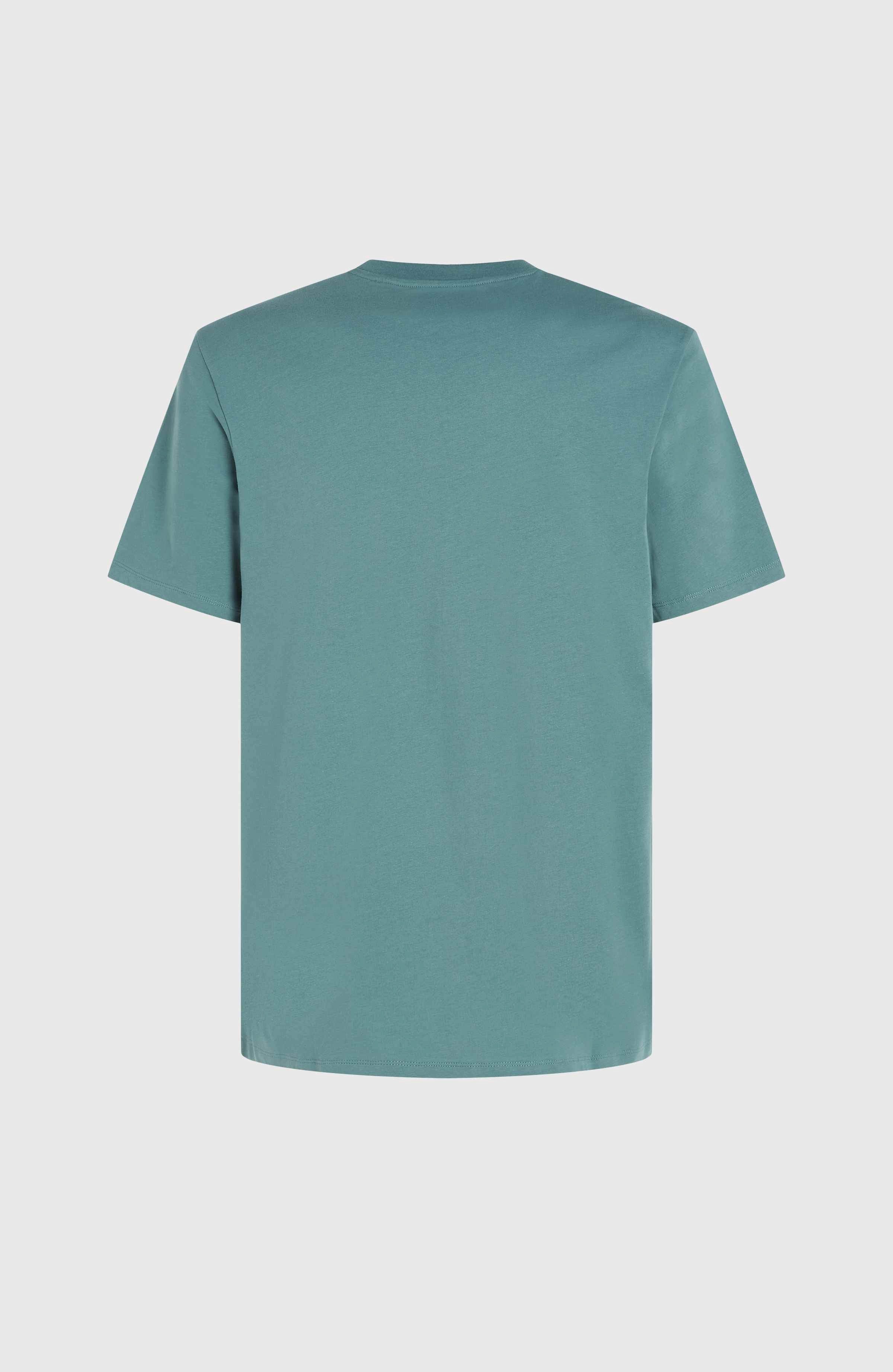 O'Neill T-shirt O'NEILL SMALL LOGO T-SHIRT