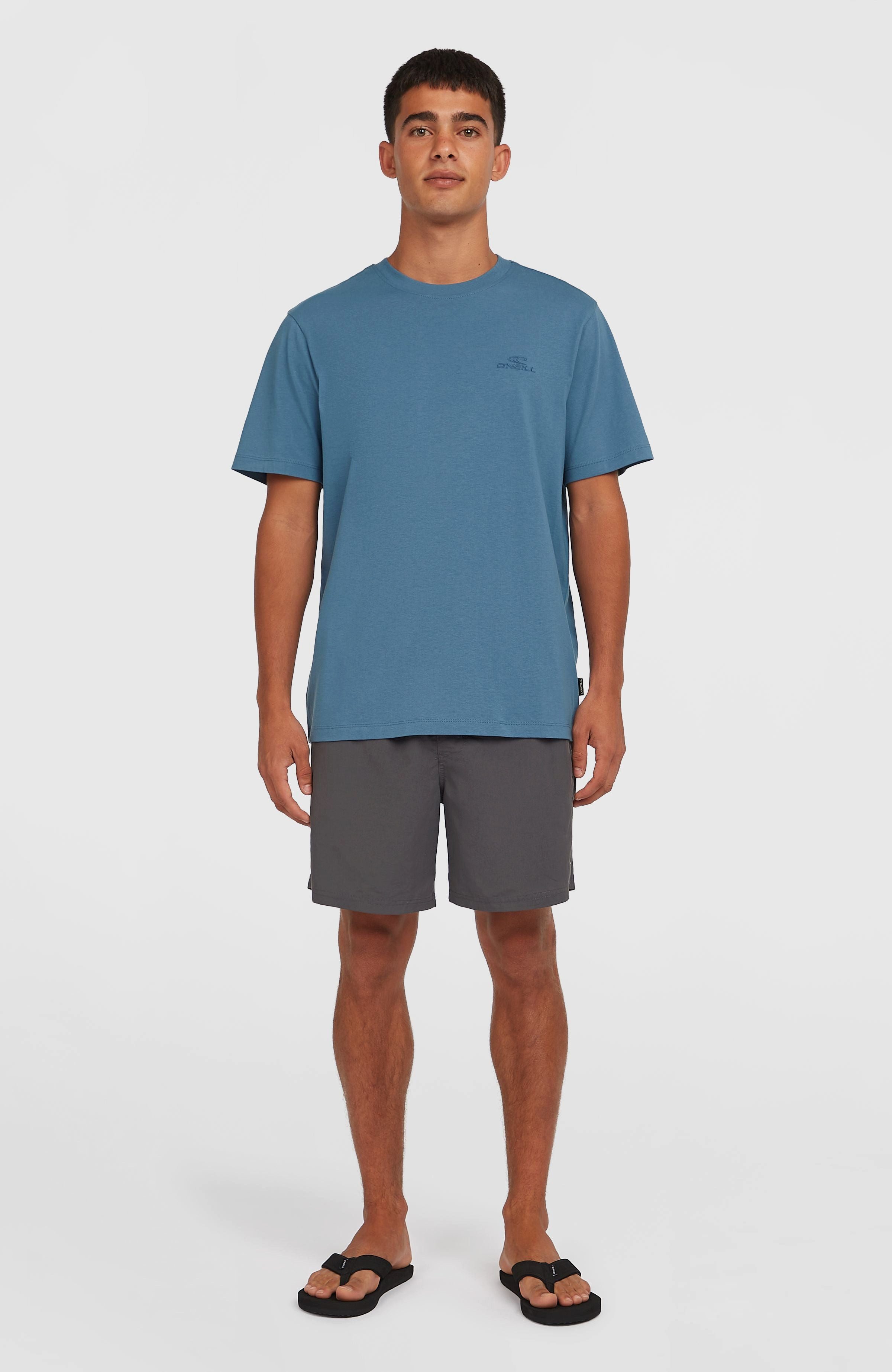 O'Neill T-shirt Small Logo T-Shirt