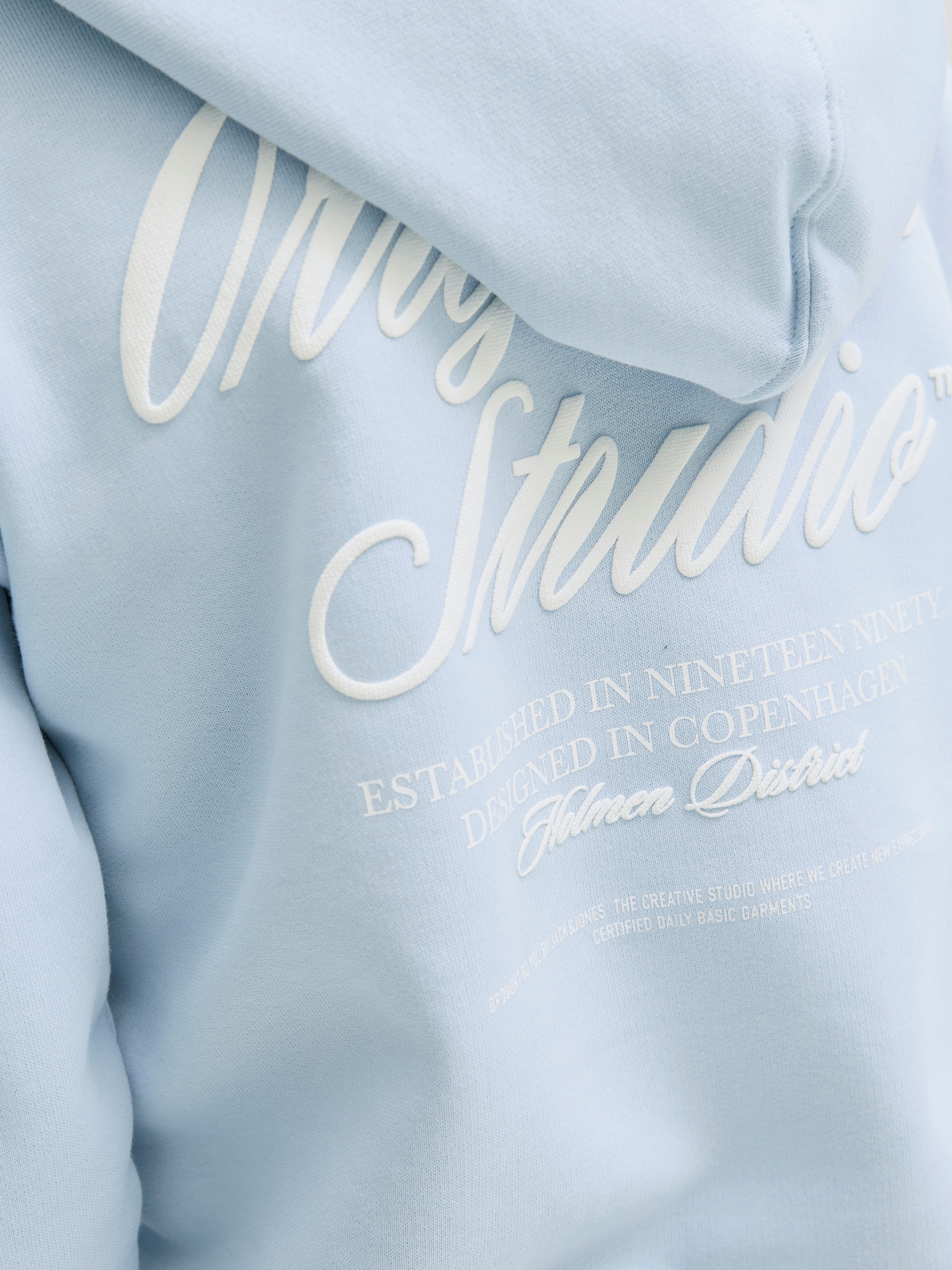 Jack & Jones Junior Hoodie JORNORREBRO TYPO BACK SWEAT HOOD SN JNR