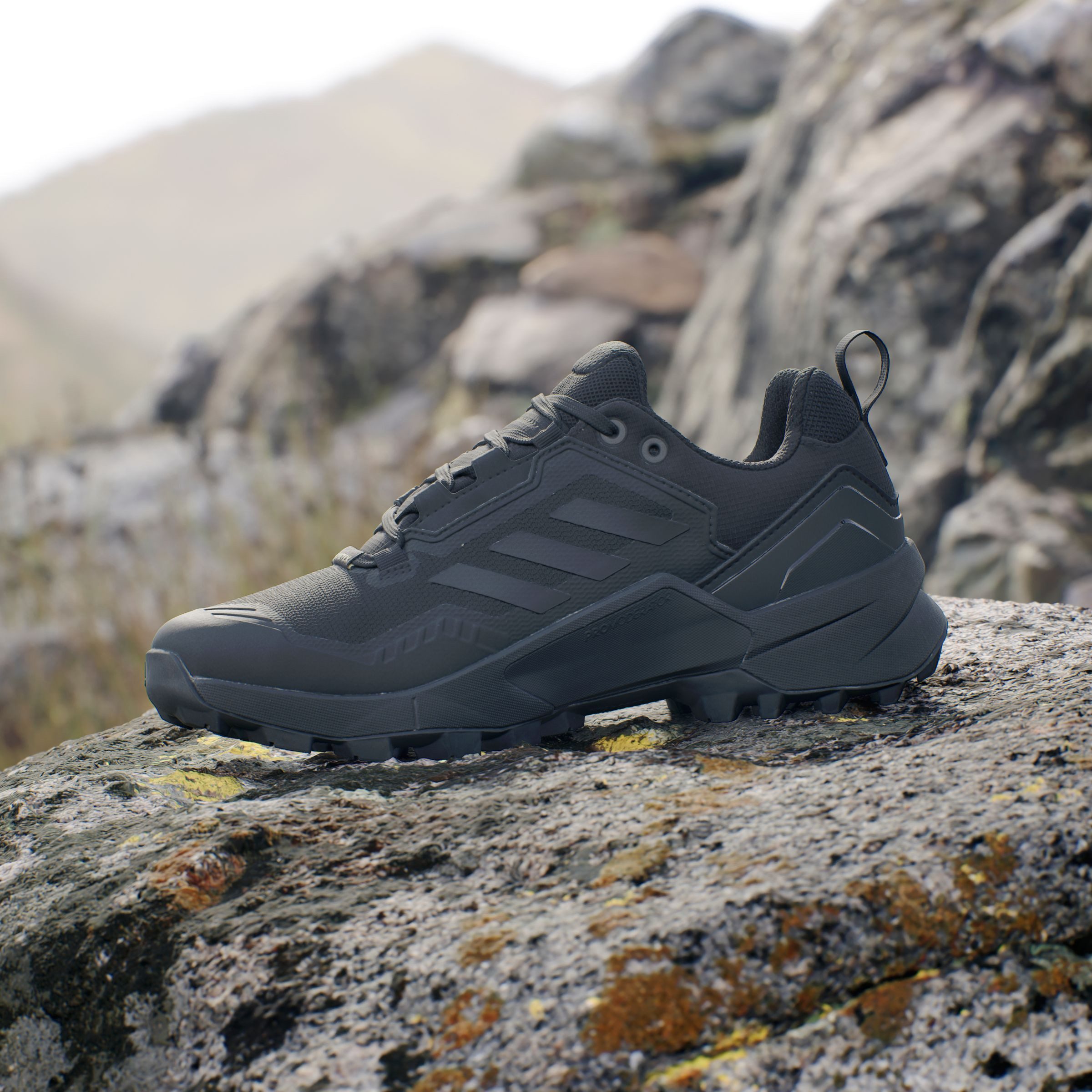 adidas TERREX Wandelschoenen TERREX SWIFT R3 GORE-TEX