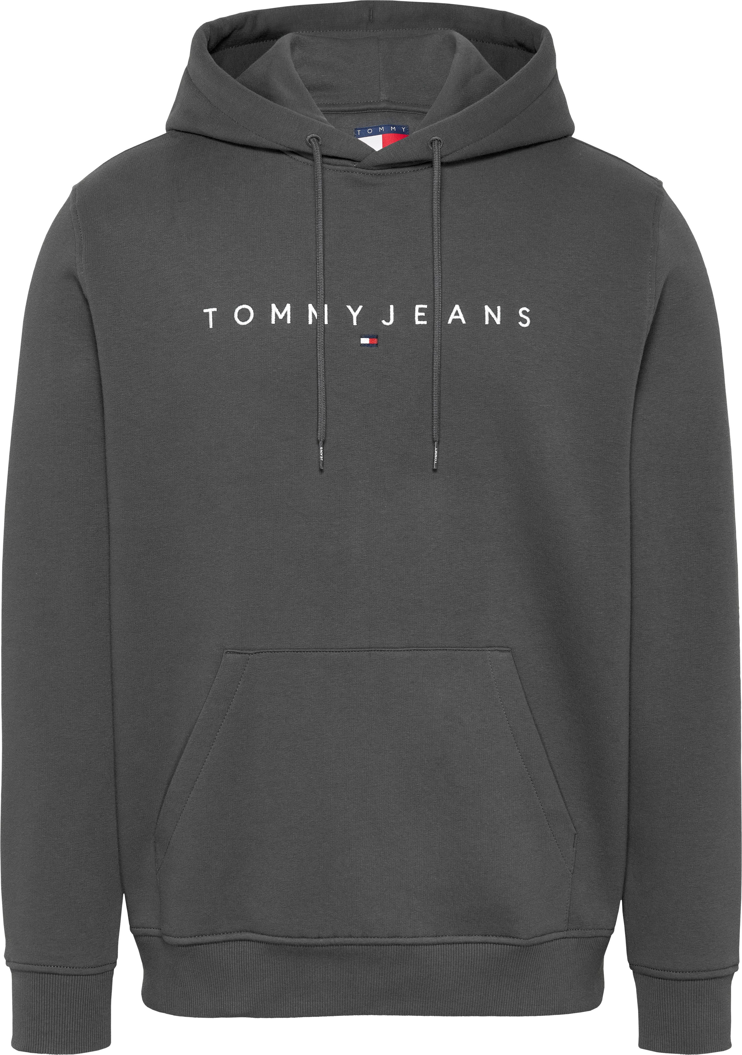 TOMMY JEANS Hoodie TJM REG LINEAR LOGO HOODIE EXT