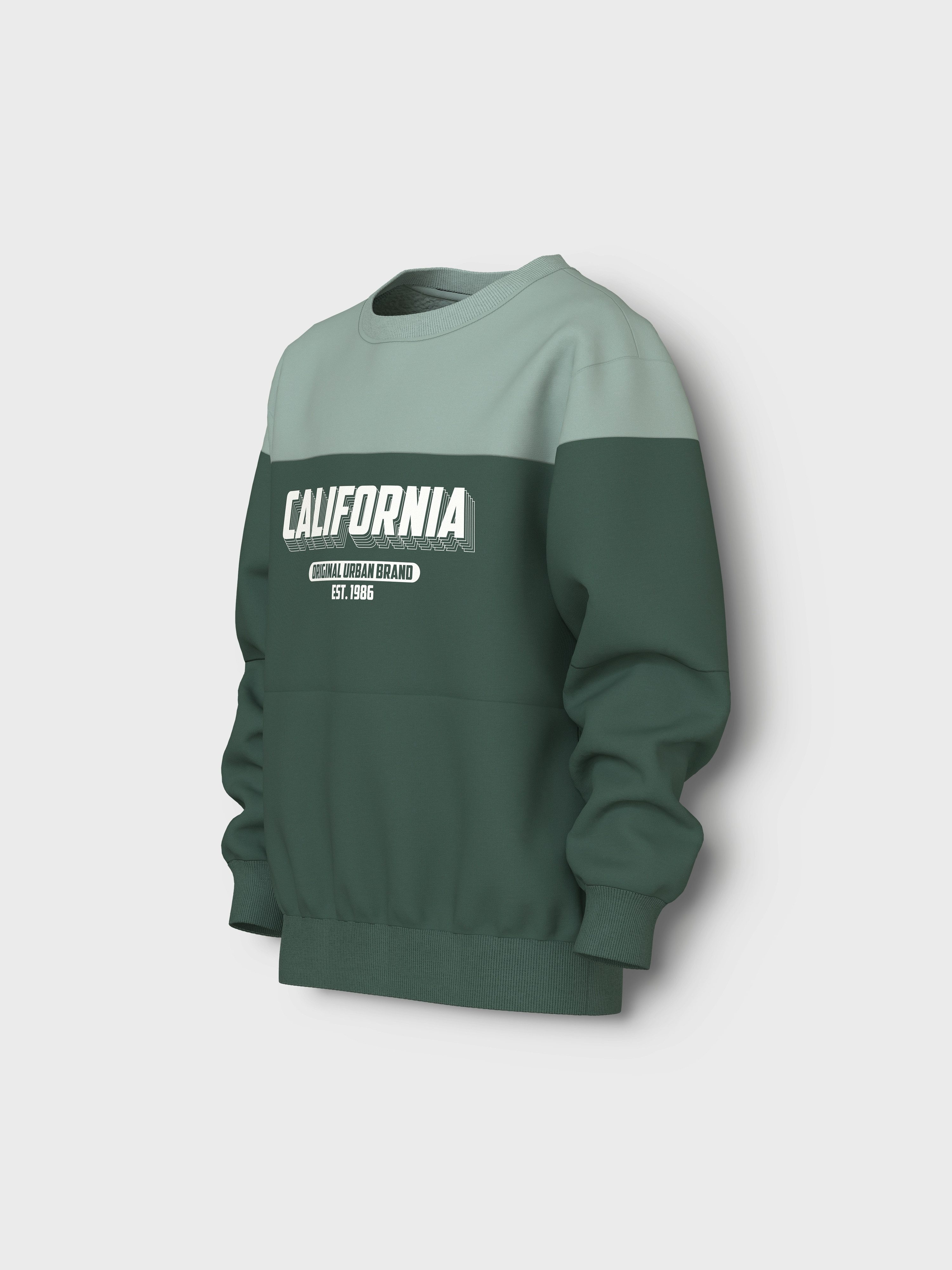 Name It Sweatshirt NKMVEMIL LS NREG SWEAT BRU