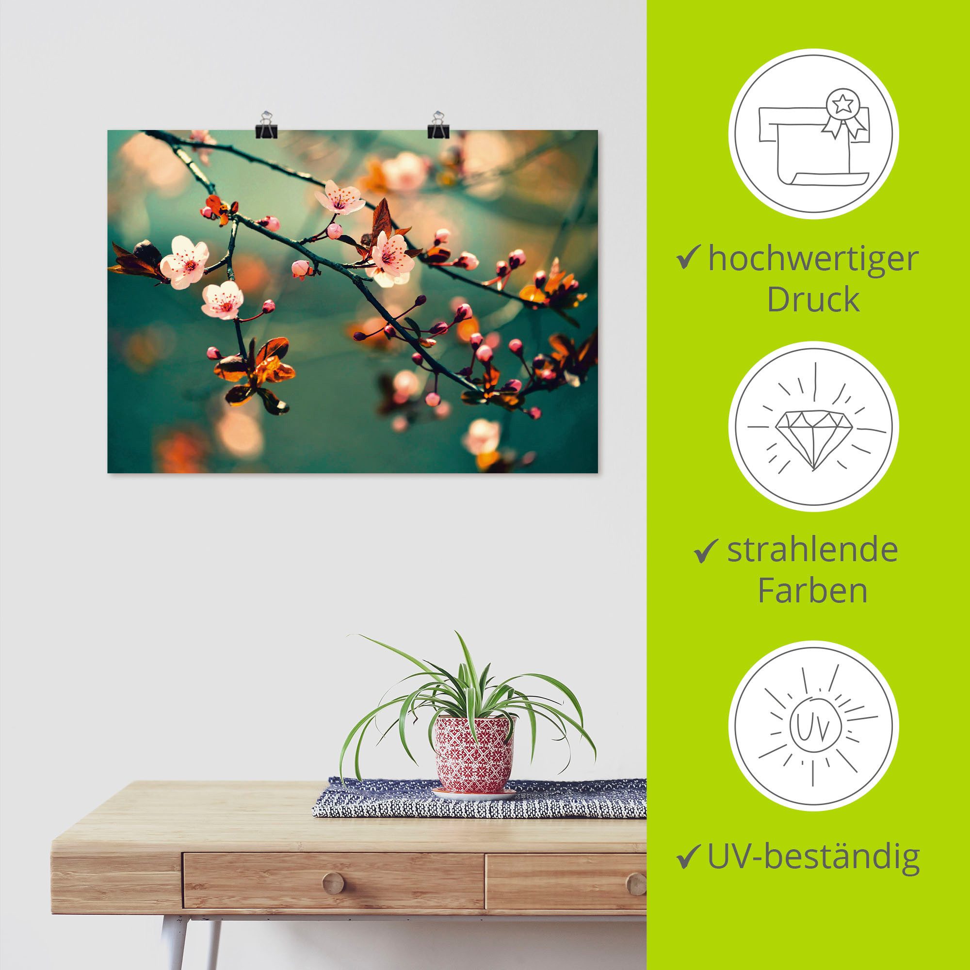Artland Artprint Japanse kers Sakura bloemen als artprint op linnen, poster in verschillende formaten maten