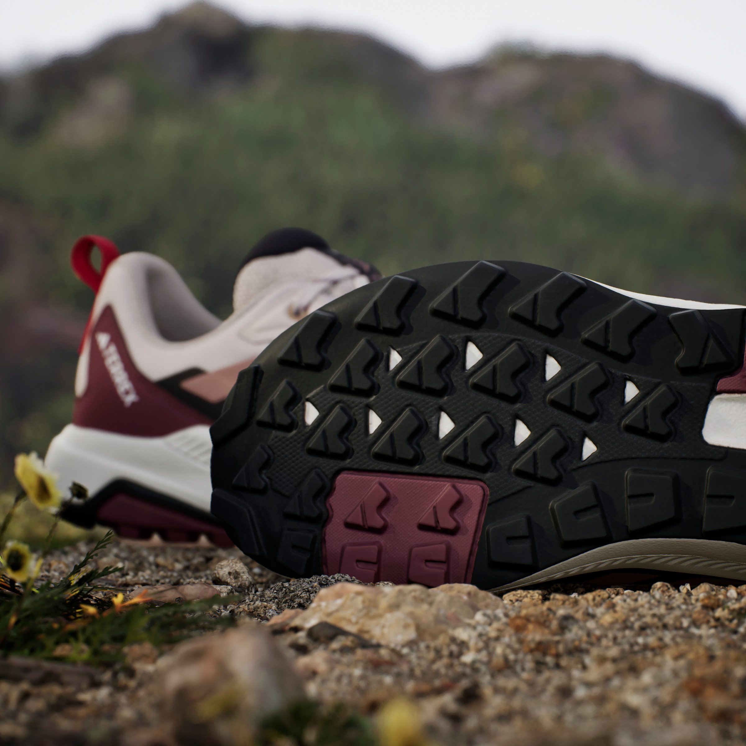 adidas TERREX Wandelschoenen TERREX ANYLANDER