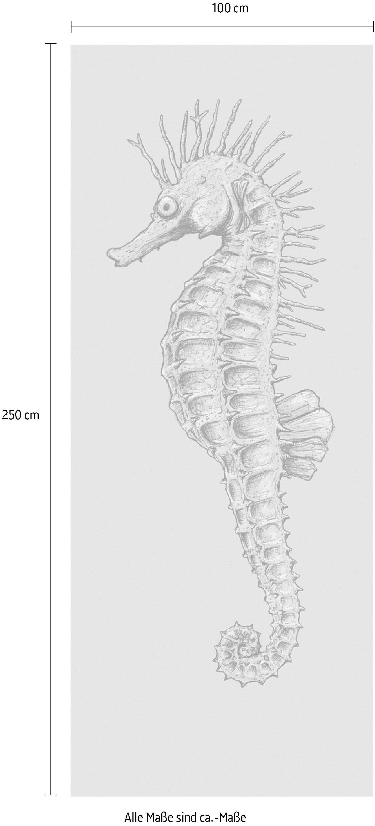 Komar Vliesbehang Digitale print vlies - Seahorse Panel - Afmeting 100 x 250 cm (1 stuk)