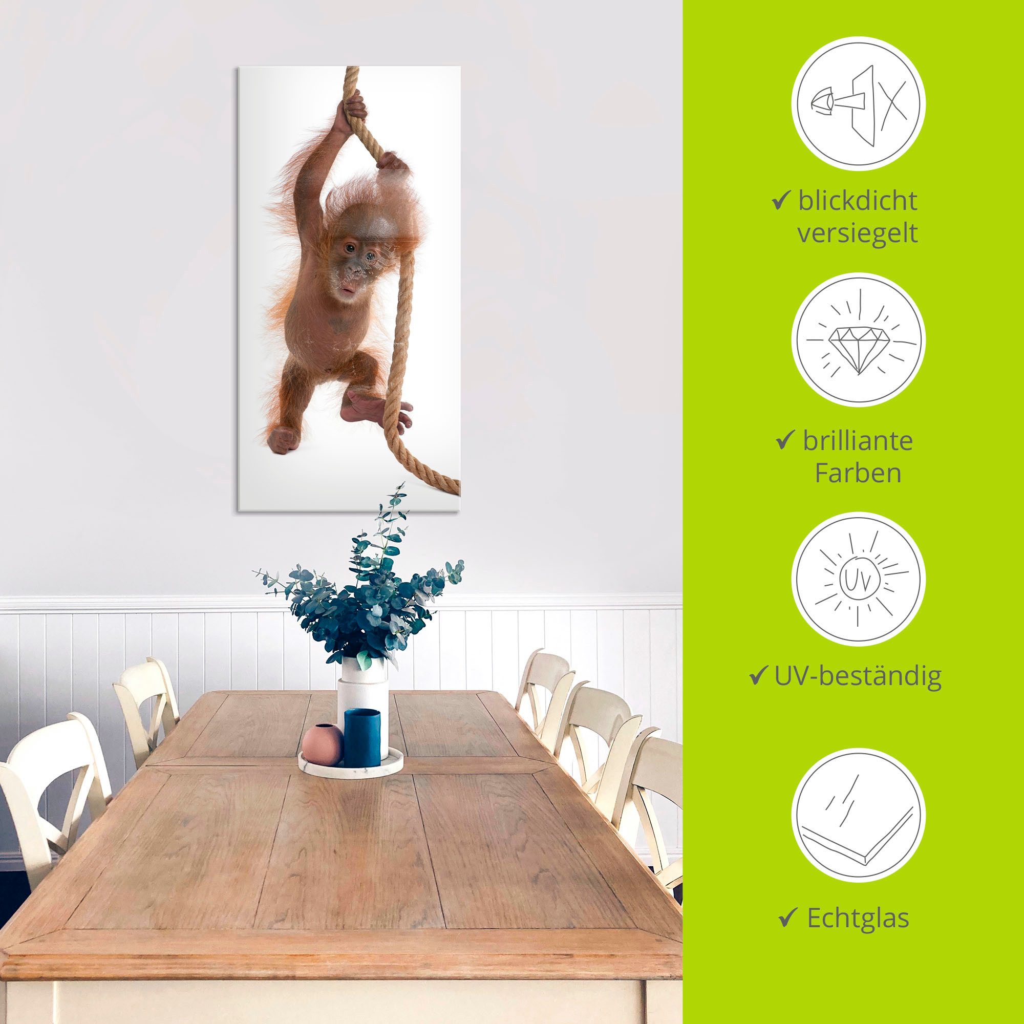 Artland Print op glas Baby orang oetan hangt aan het touw I