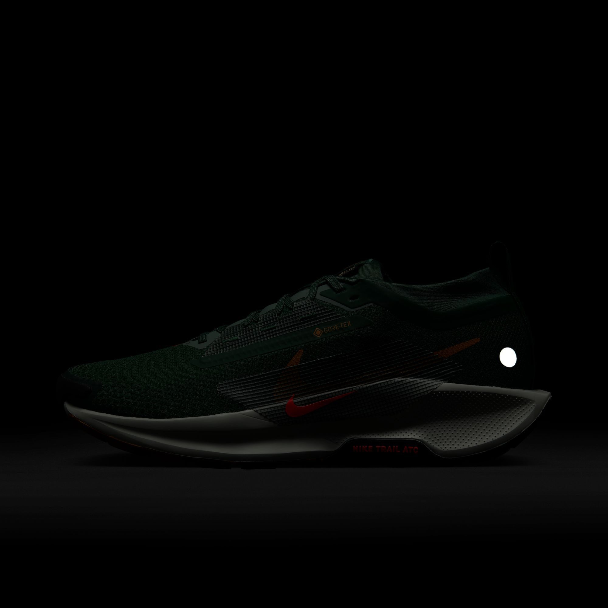 Nike Runningschoenen NIKE PEGASUS TRAIL 5 GTX