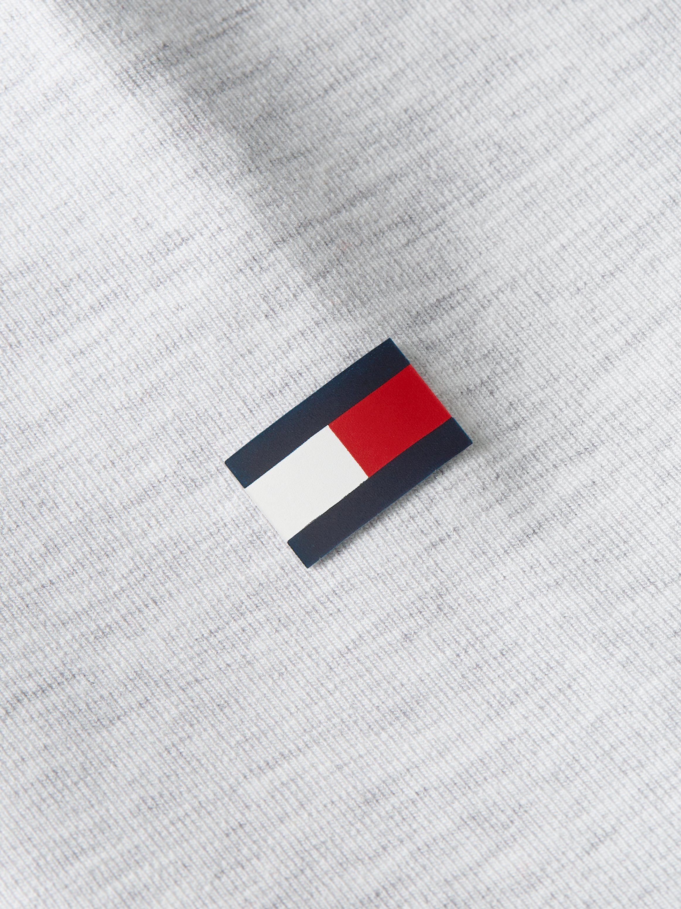 Tommy Hilfiger Hoodie GRAPHIC HOODY met hilfiger-print op de borst