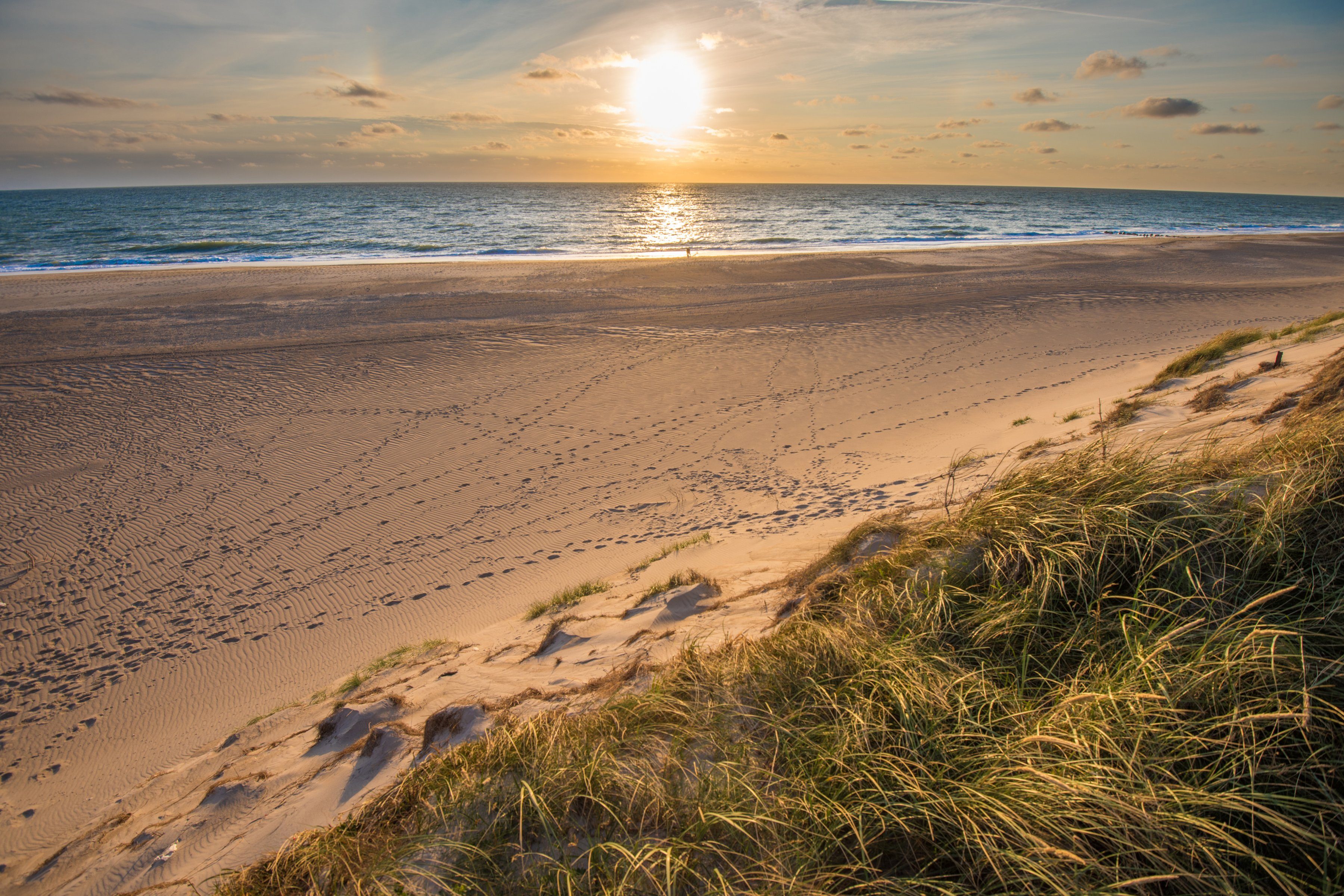 Papermoon Fotobehang Dunes beach Jutland fotobehang maat 4 m x 2,6 m multicolor