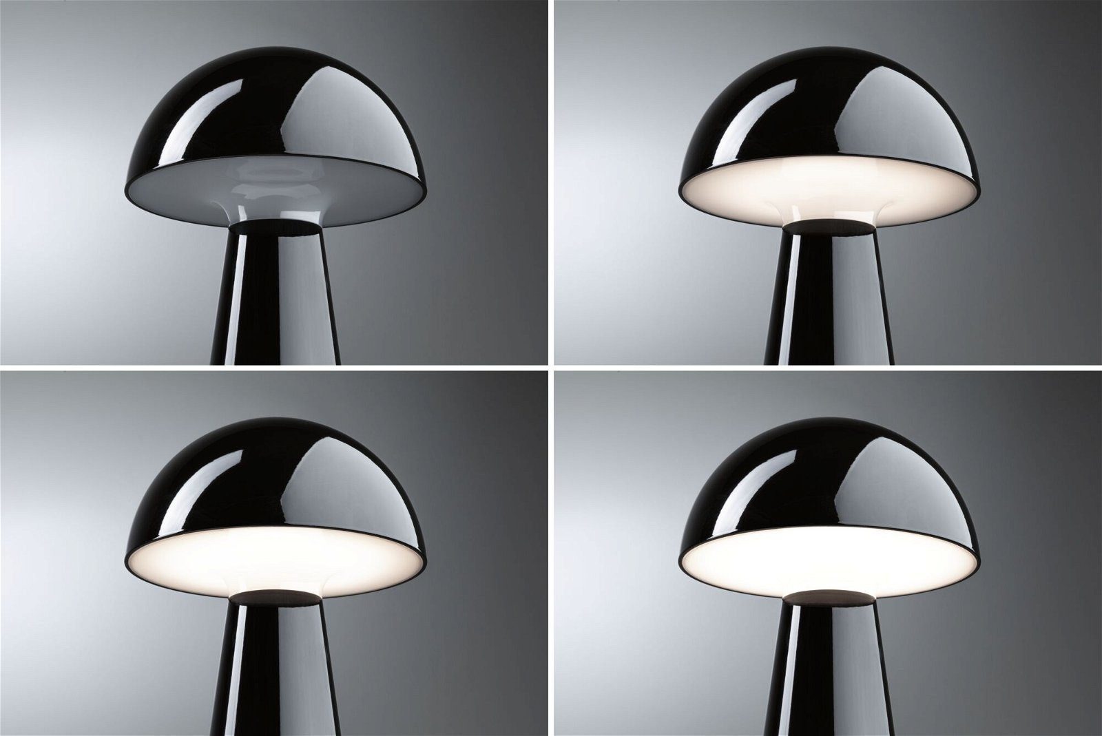 Paulmann Led-tafellamp voor buiten Acculamp Onzo dimbaar IP44 (1 stuk)