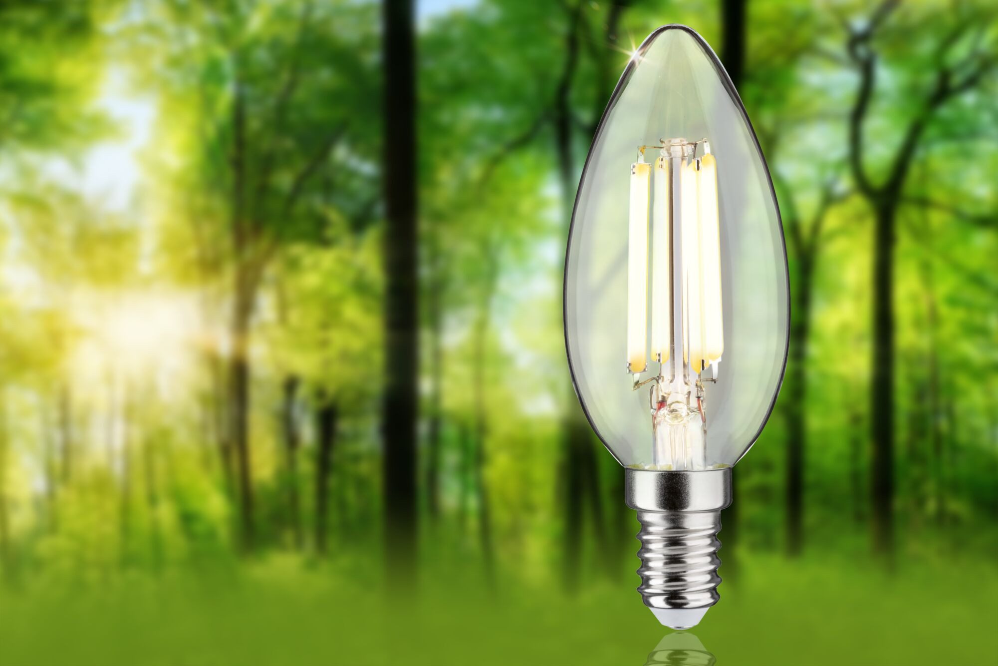 Paulmann Led-verlichting Eco-Line filament 230V LED kaars E14 1-set 525lm 2,5W 3000K helder (1 stuk)