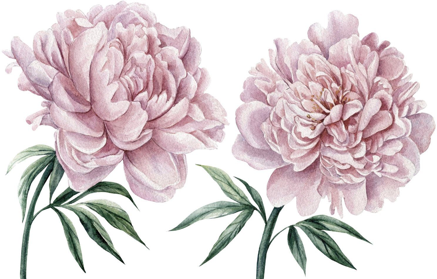 queence Wandfolie Lilly Muurdecoratie, sticker, roze, bloem, bloei, zelfklevend, pastelkleuren (1 stuk) wandstickers roze