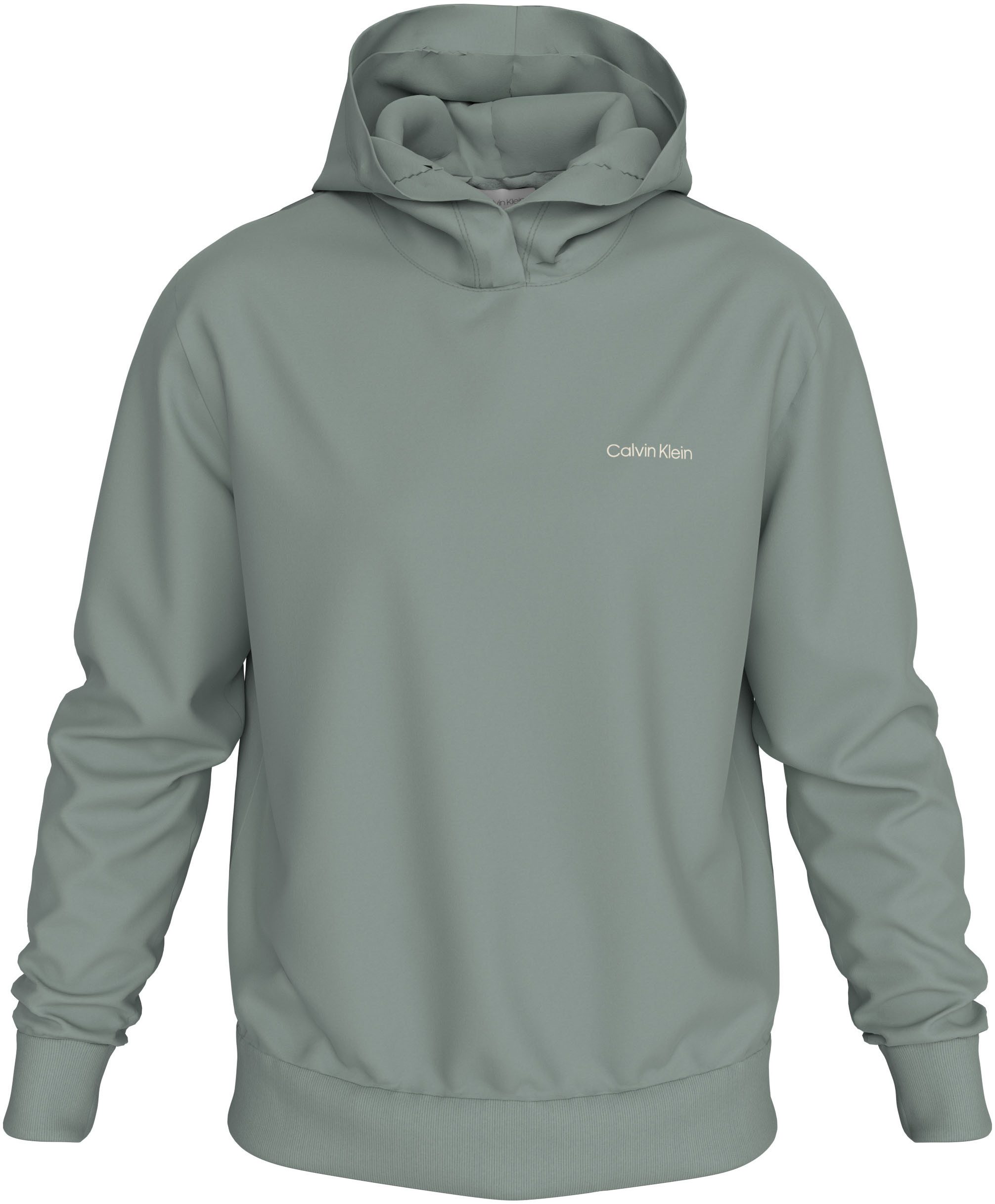 Calvin Klein Hoodie BT_ENLARGERD BACK LOGO HOODIE