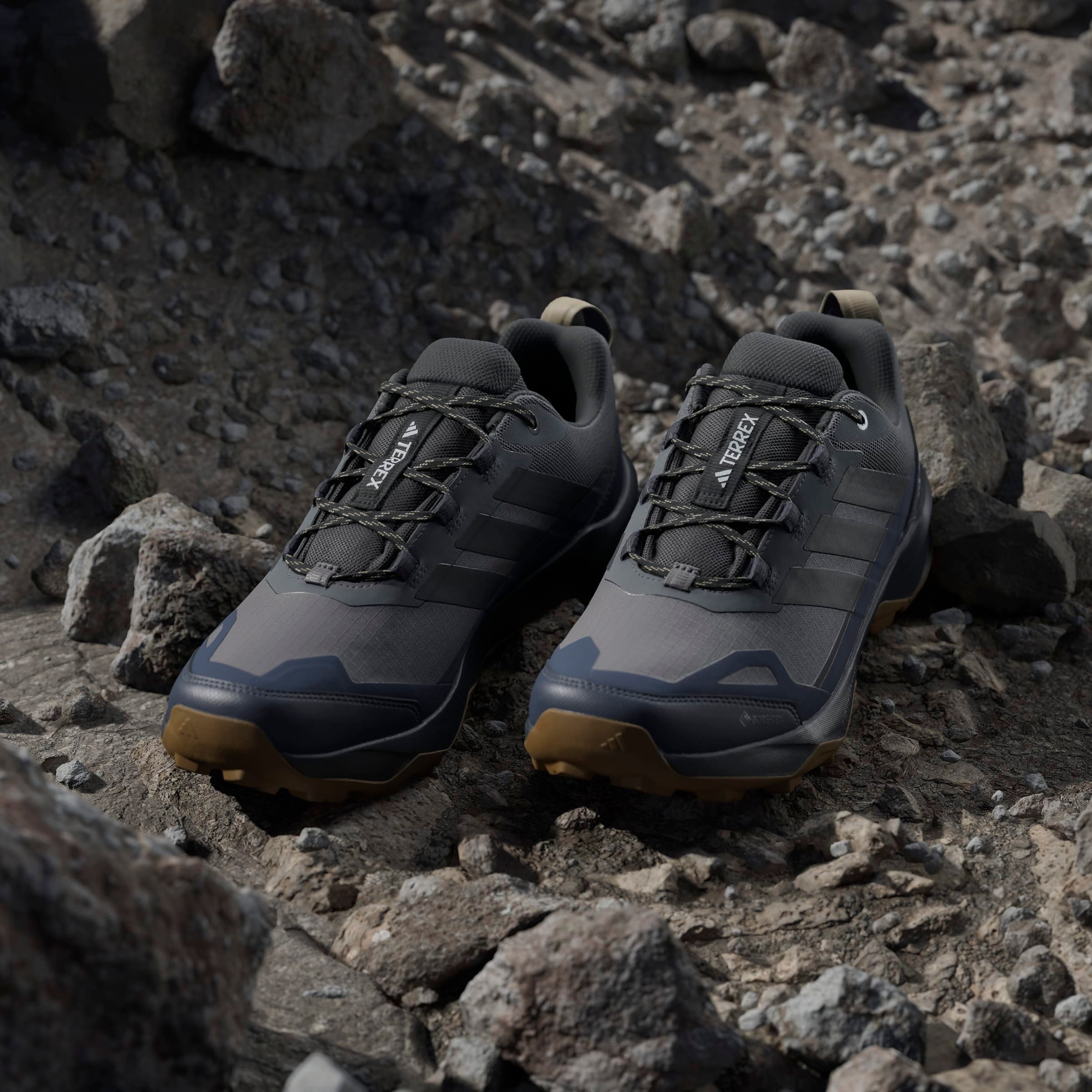 adidas TERREX Wandelschoenen TERREX SKYCHASER AX5 GORE-TEX E