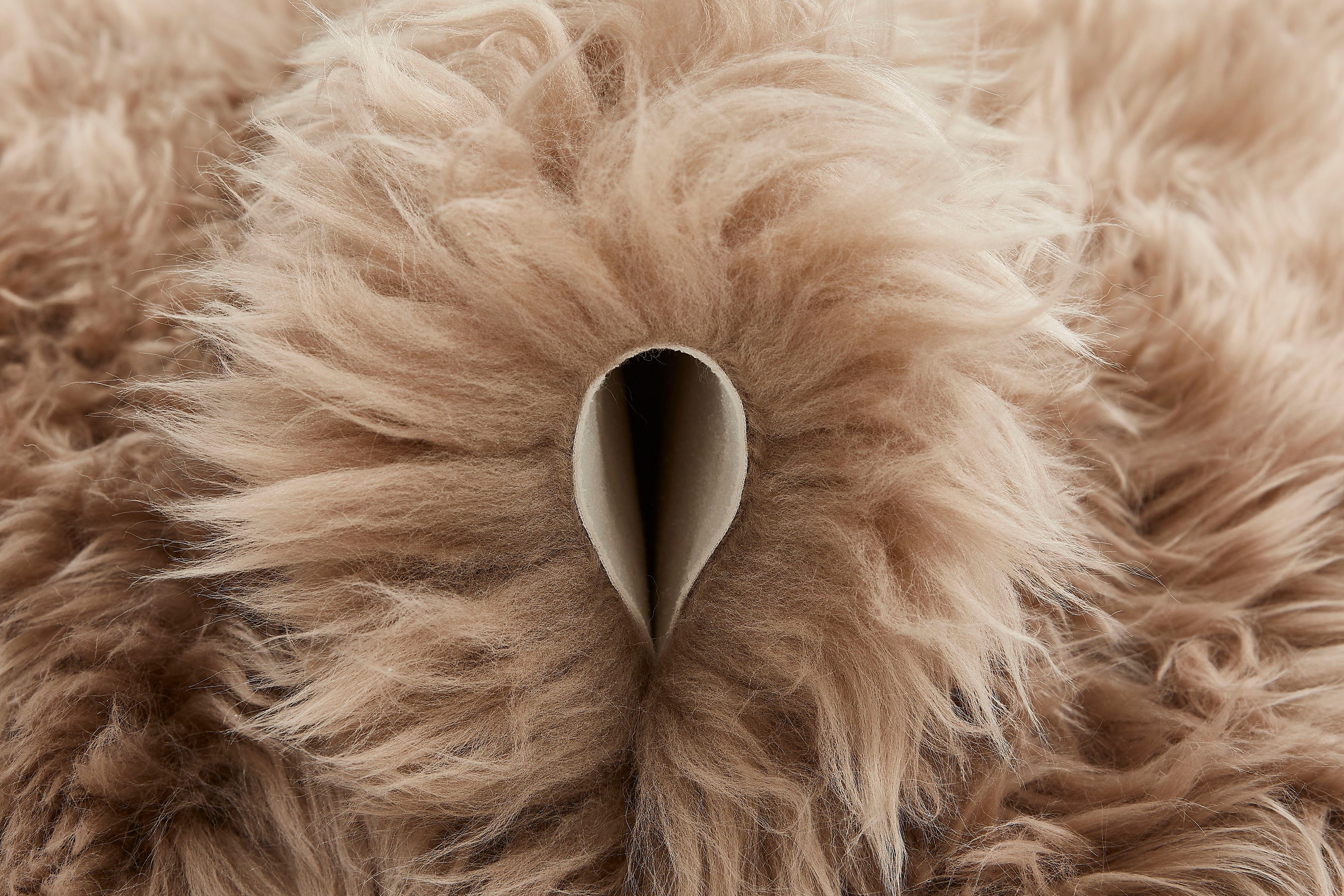 my home Vachtvloerkleed MAREILE echte lamsvacht, unikleuren, bijzonder zacht, heerlijk zacht vloerkleed