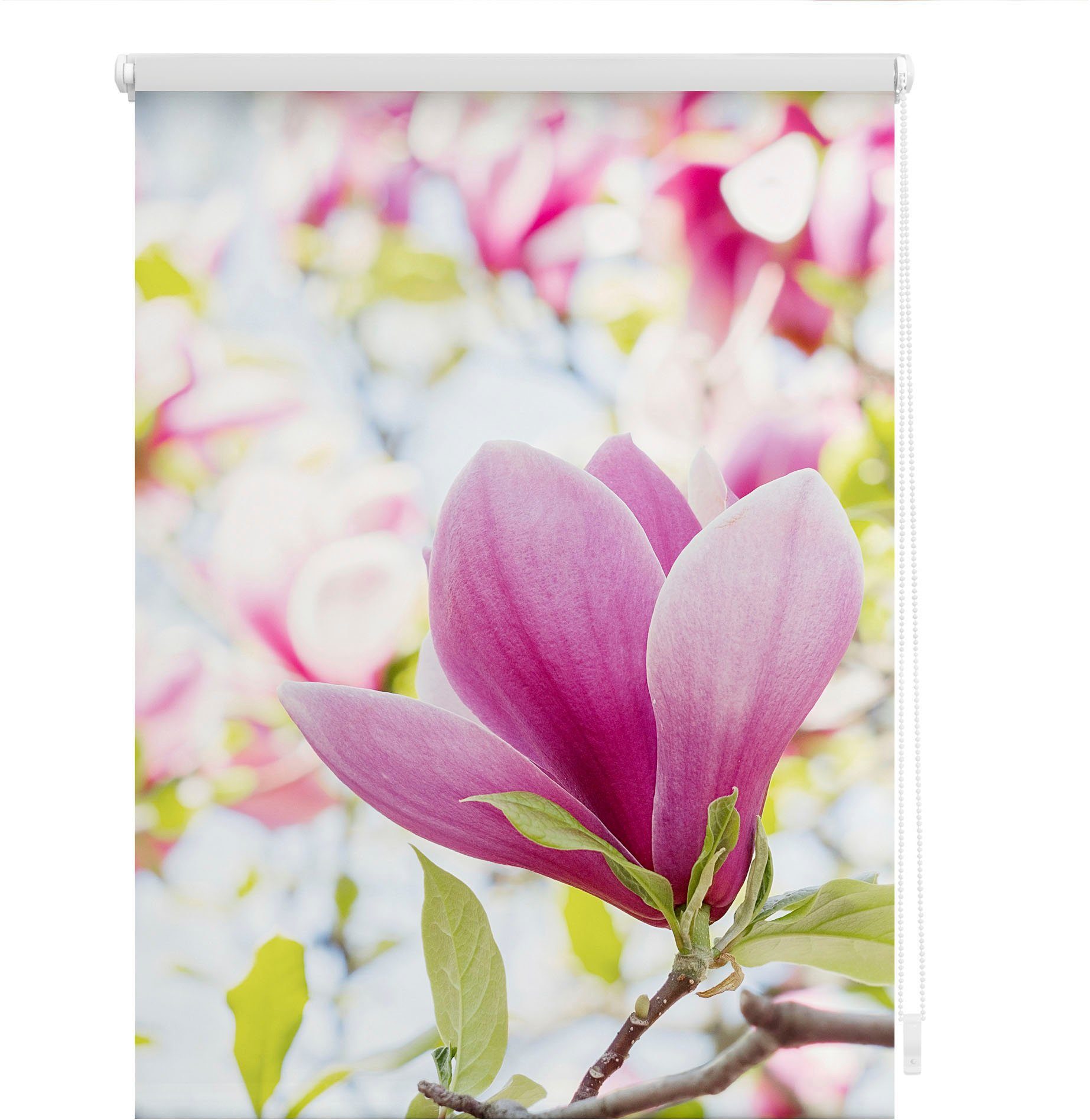LICHTBLICK Rolgordijn met zijbediening Rolgordijn Klemmfix, zonder boren, verduistering, magnolia - roze (1 stuk)