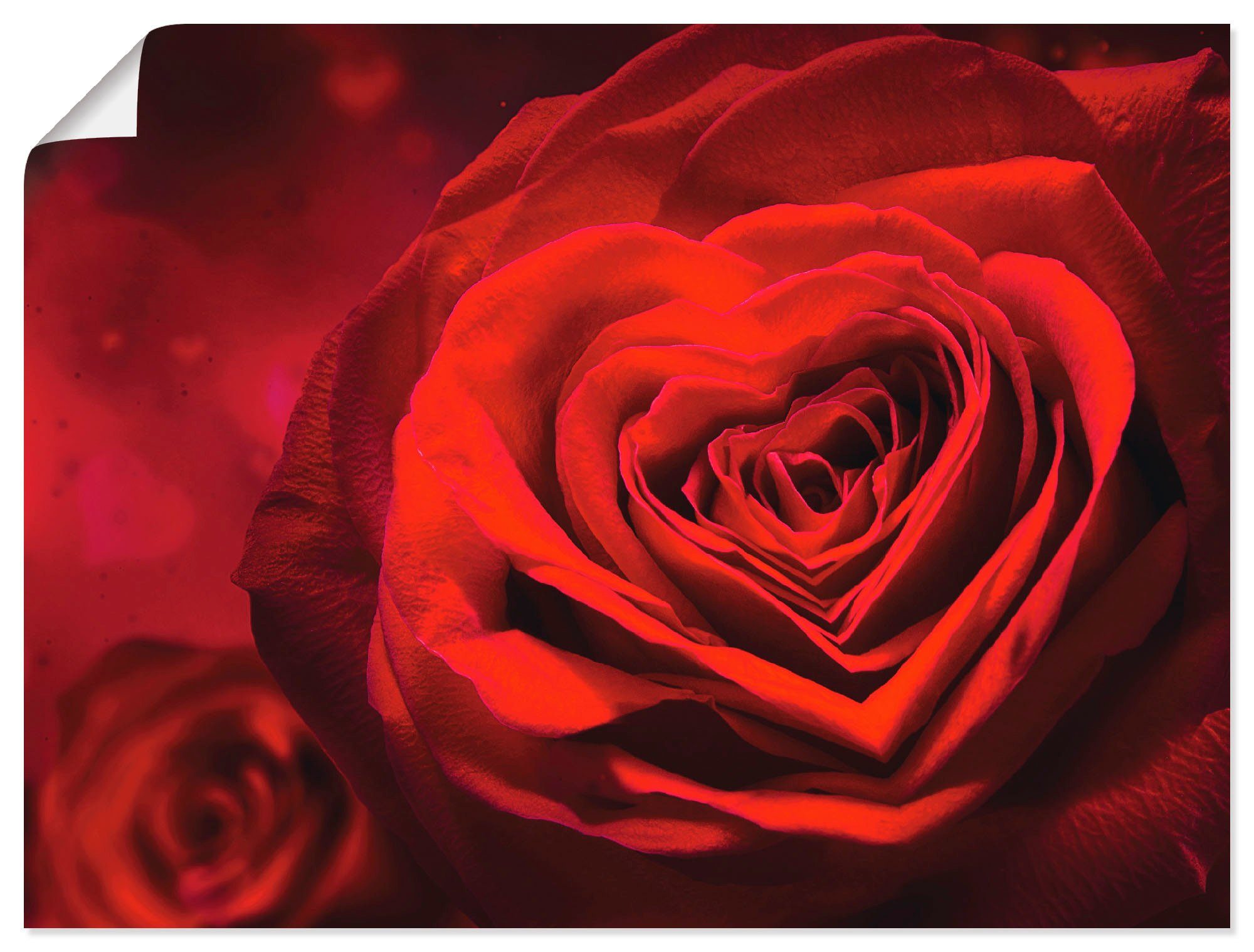 Artland Artprint Valentijnsuitnodiging met harten en rozen in vele afmetingen & productsoorten - artprint van aluminium / artprint voor buiten, artprint op linnen, poster, muurstic
