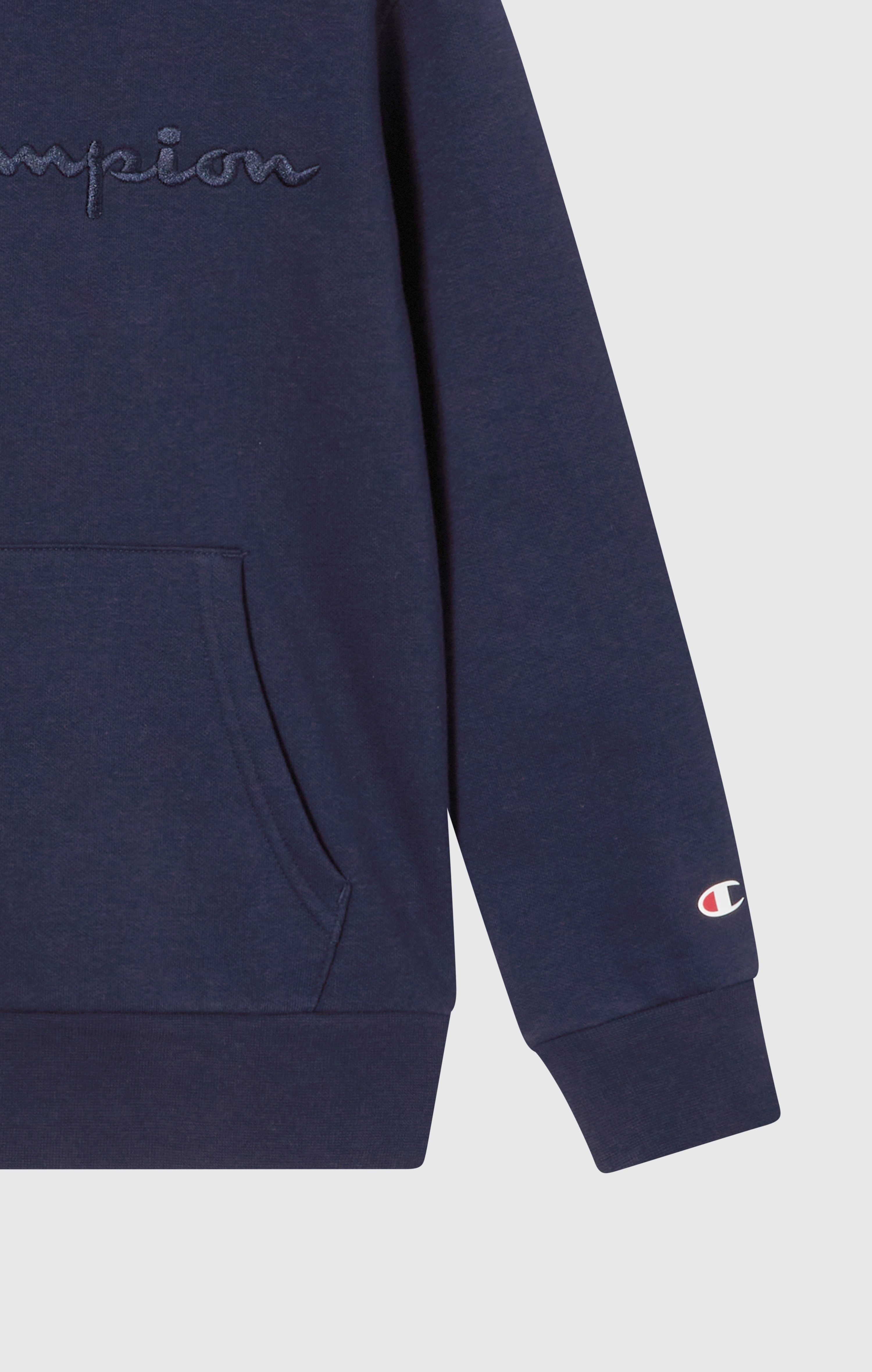 Champion Hoodie ICONS TONAL Hoodie Large Logo (1-delig)