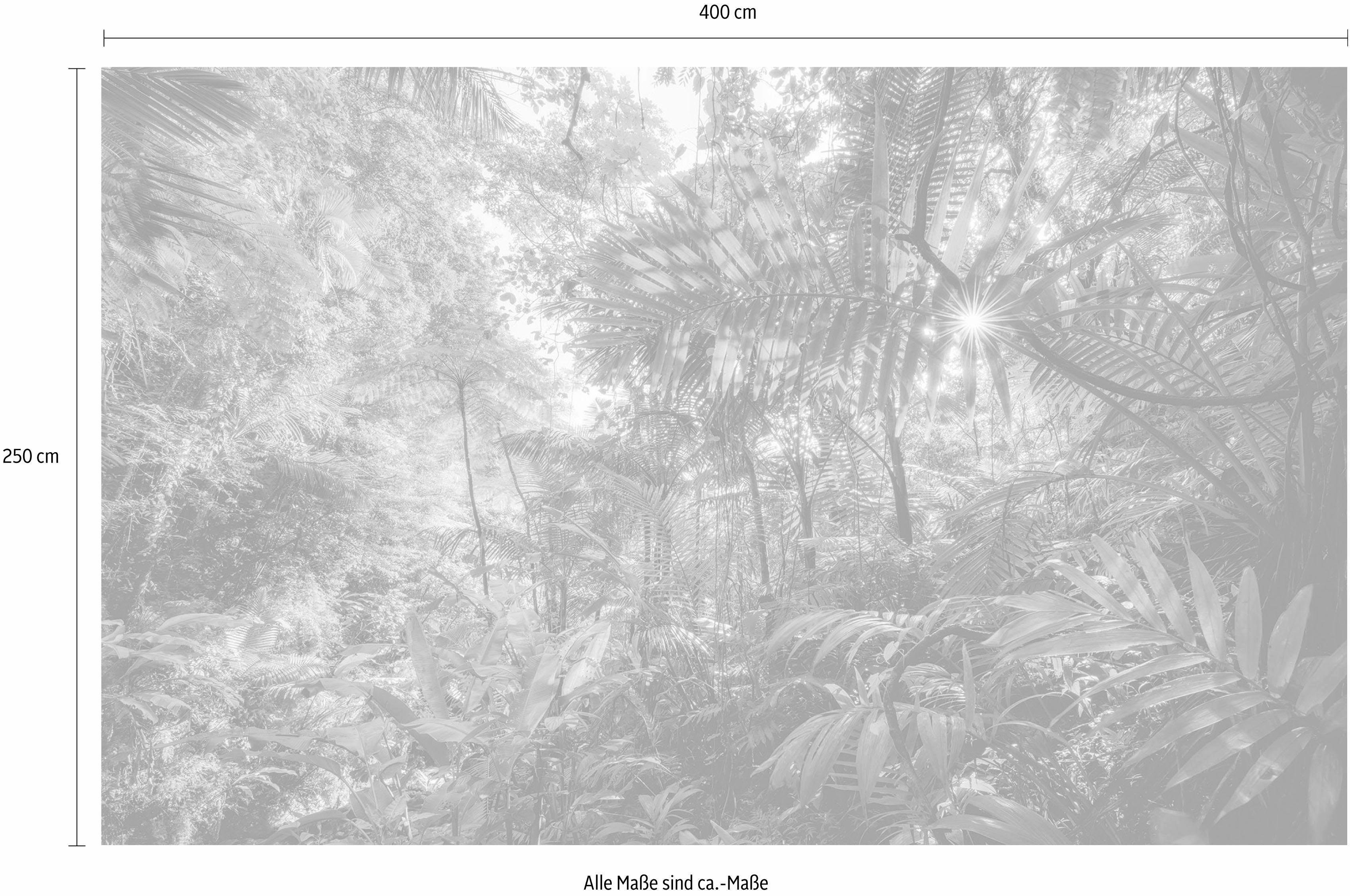 Komar Vliesbehang Digitale print vlies - Into The Jungle - Afmeting 400 x 250 cm (1 stuk)