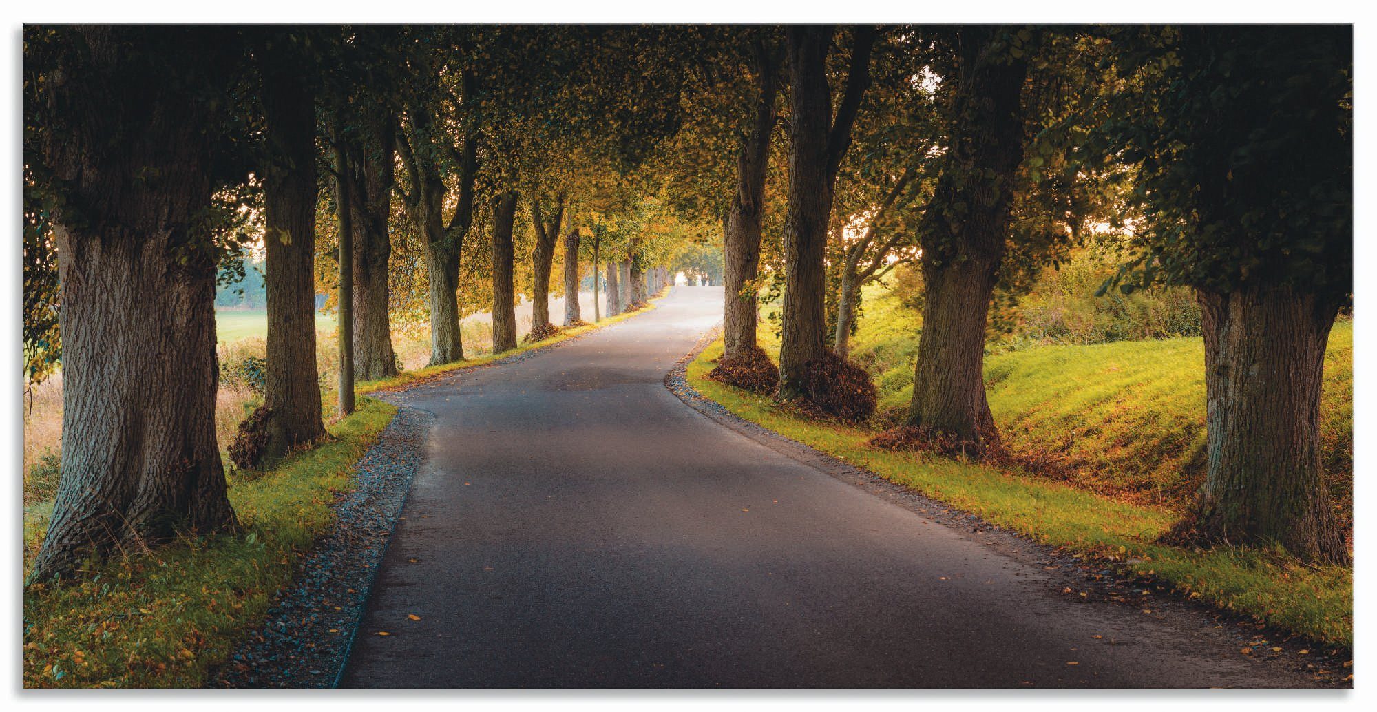 Artland Artprint Allee im Herbst in vele afmetingen & productsoorten - artprint van aluminium / artprint voor buiten, artprint op linnen, poster, muursticker / wandfolie ook geschi