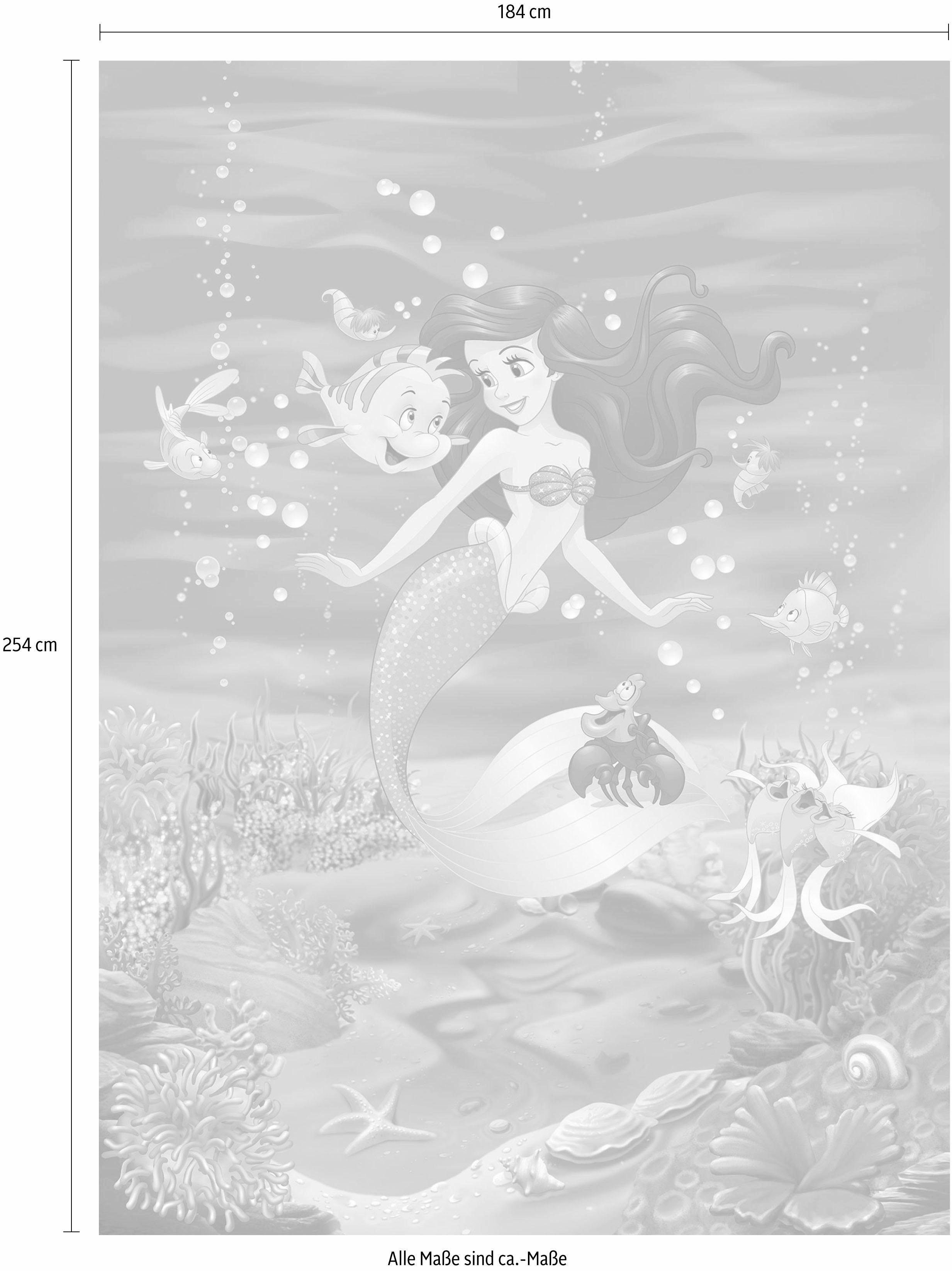 Komar Fotobehang Ariel Zingt - Afmeting 184 x 254 cm (set)