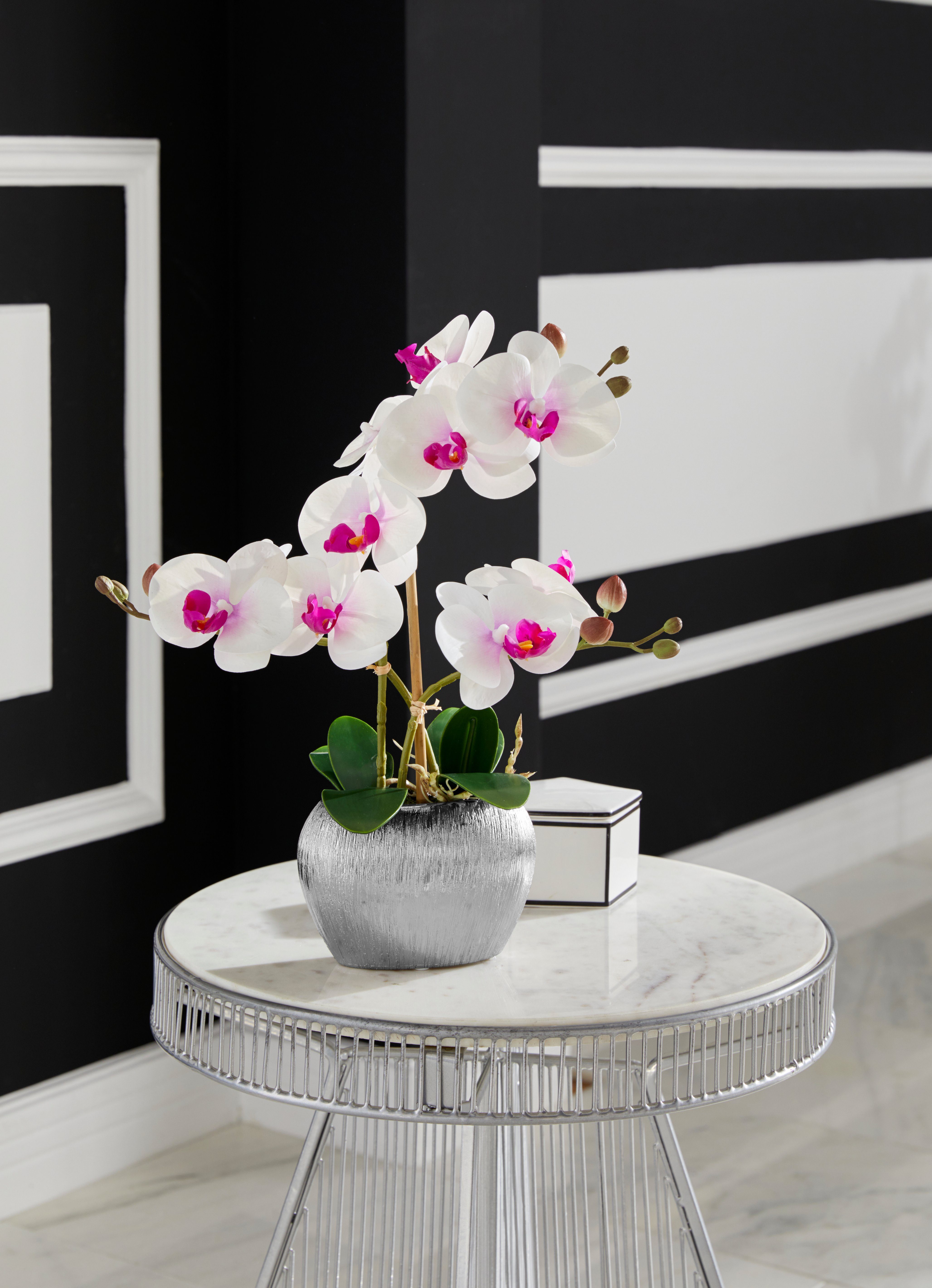 Home affaire Kunstplant Orchidee Kunstorchidee, in een pot (1 stuk)