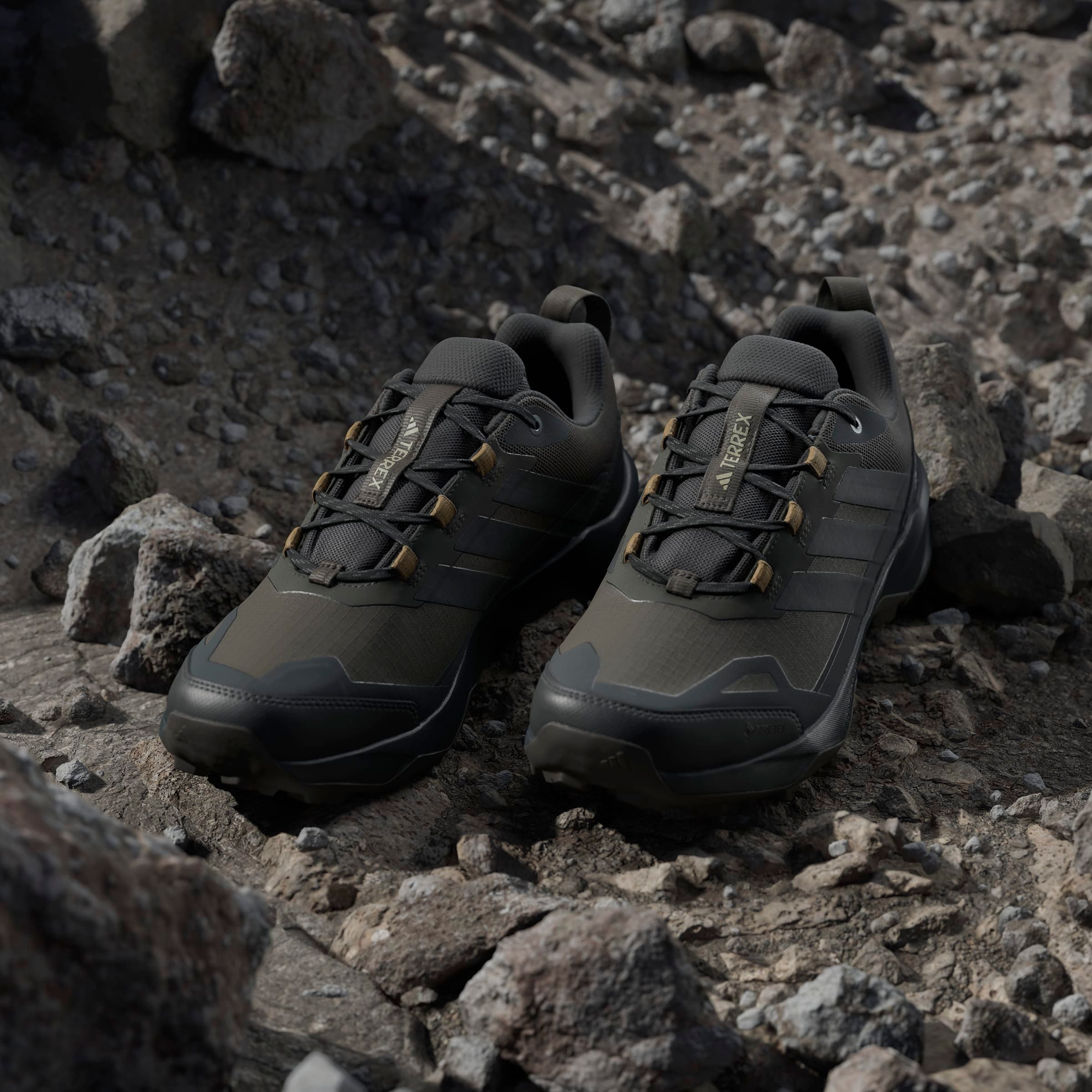 adidas TERREX Wandelschoenen TERREX SKYCHASER AX5 GORE-TEX E