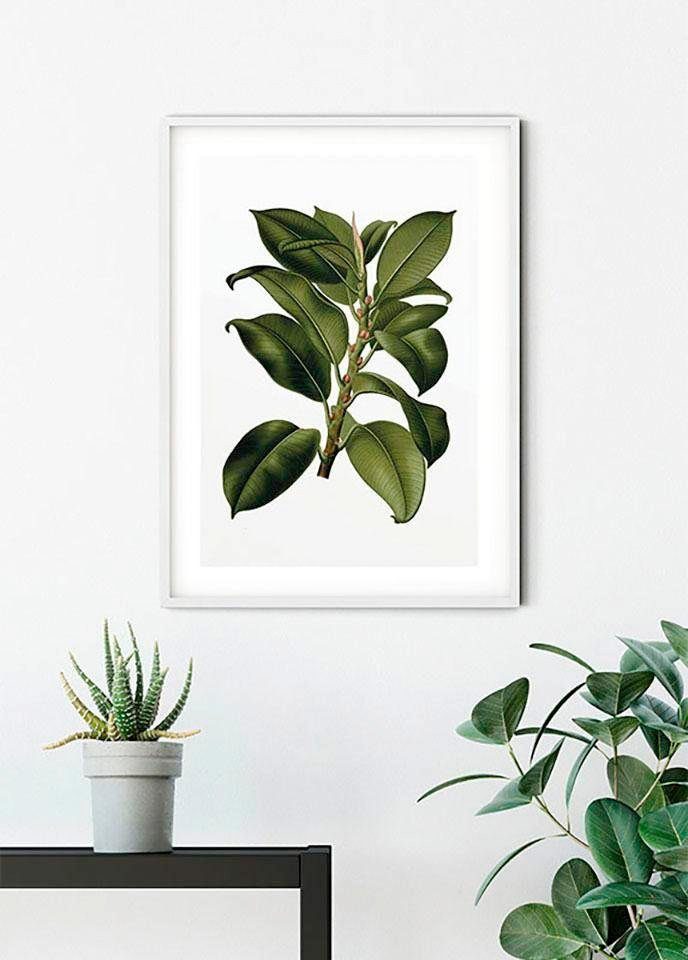 Komar Wanddecoratie Elastica Tree Wanddecoratie - zonder lijst (1 stuk)