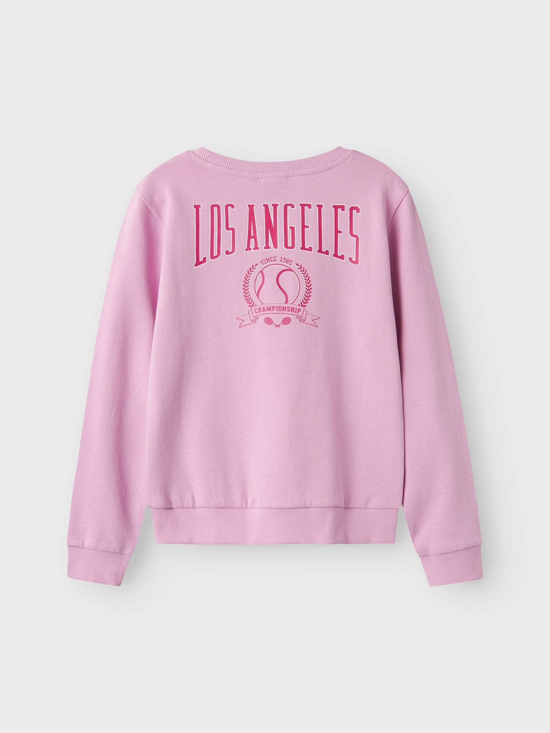 Name It Sweatshirt NKFVASACHA LS SWEAT UNB