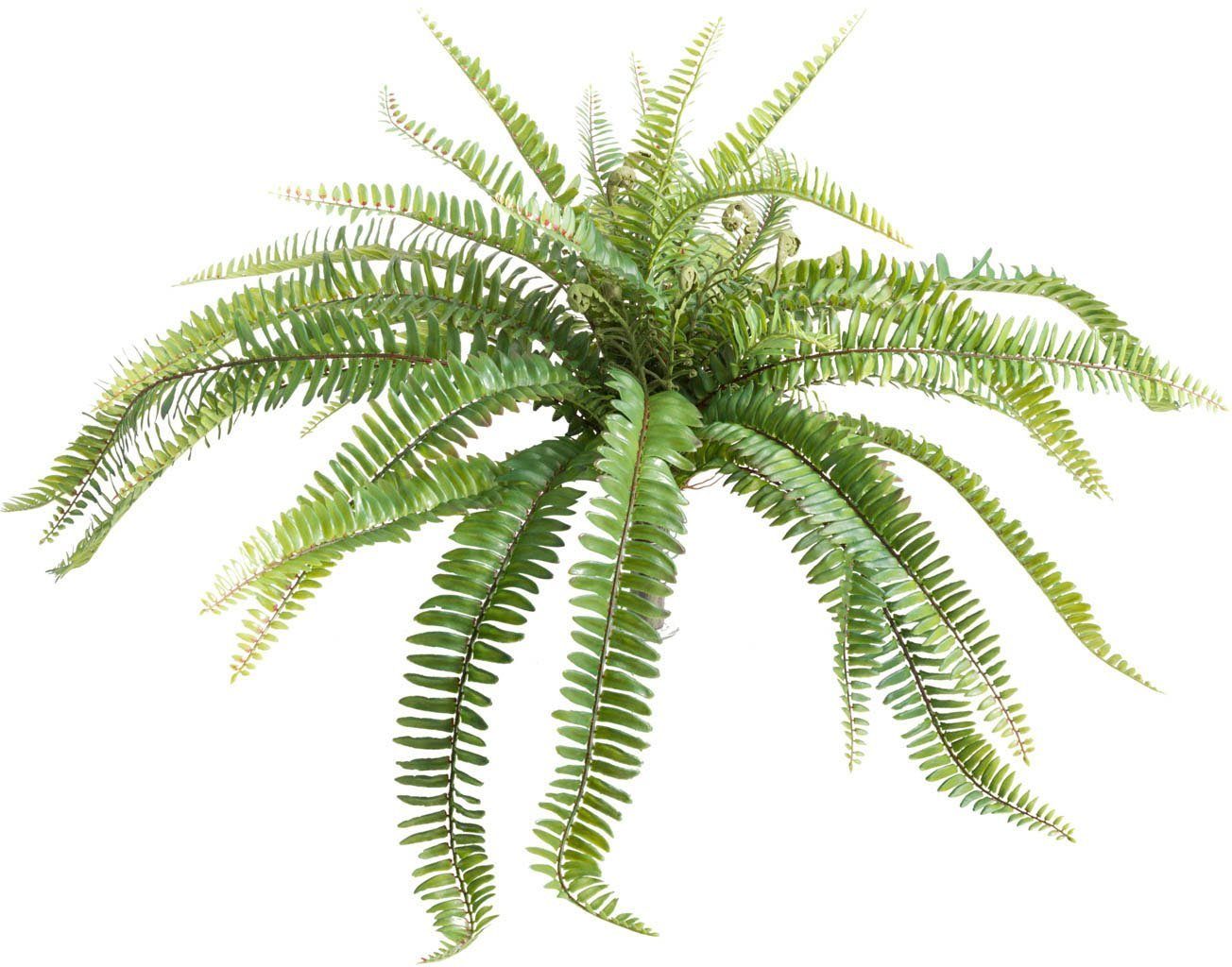 Botanic-Haus Kunst-potplanten Varenstruik (1 stuk) kunstplanten groen