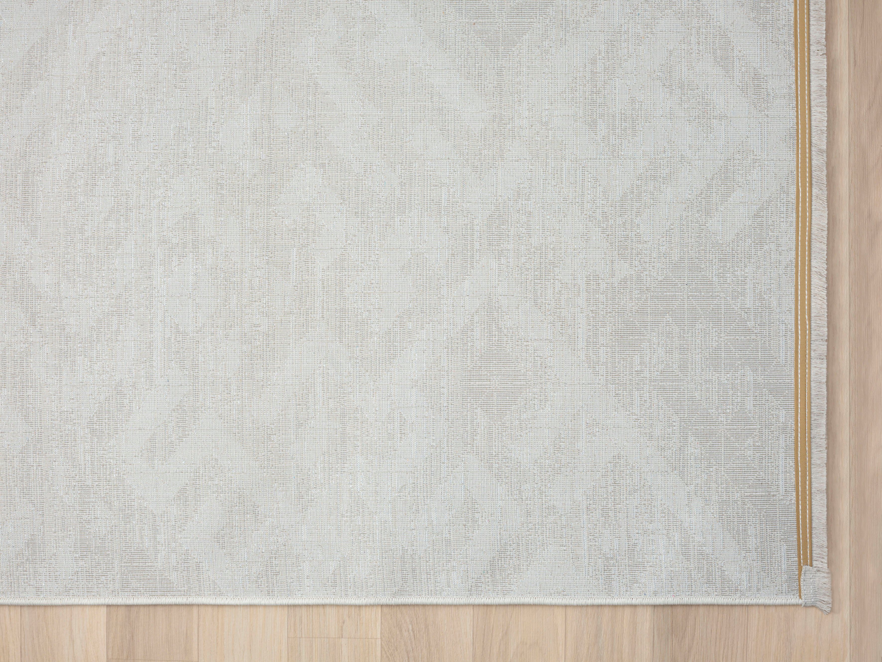 Myflair Möbel & Accessoires Vloerkleed Mijn Type 2, MAGAZIJNOPRUIMING! Kortpolig, etno-stijl, bijzonder zacht door microvezel, met franjes