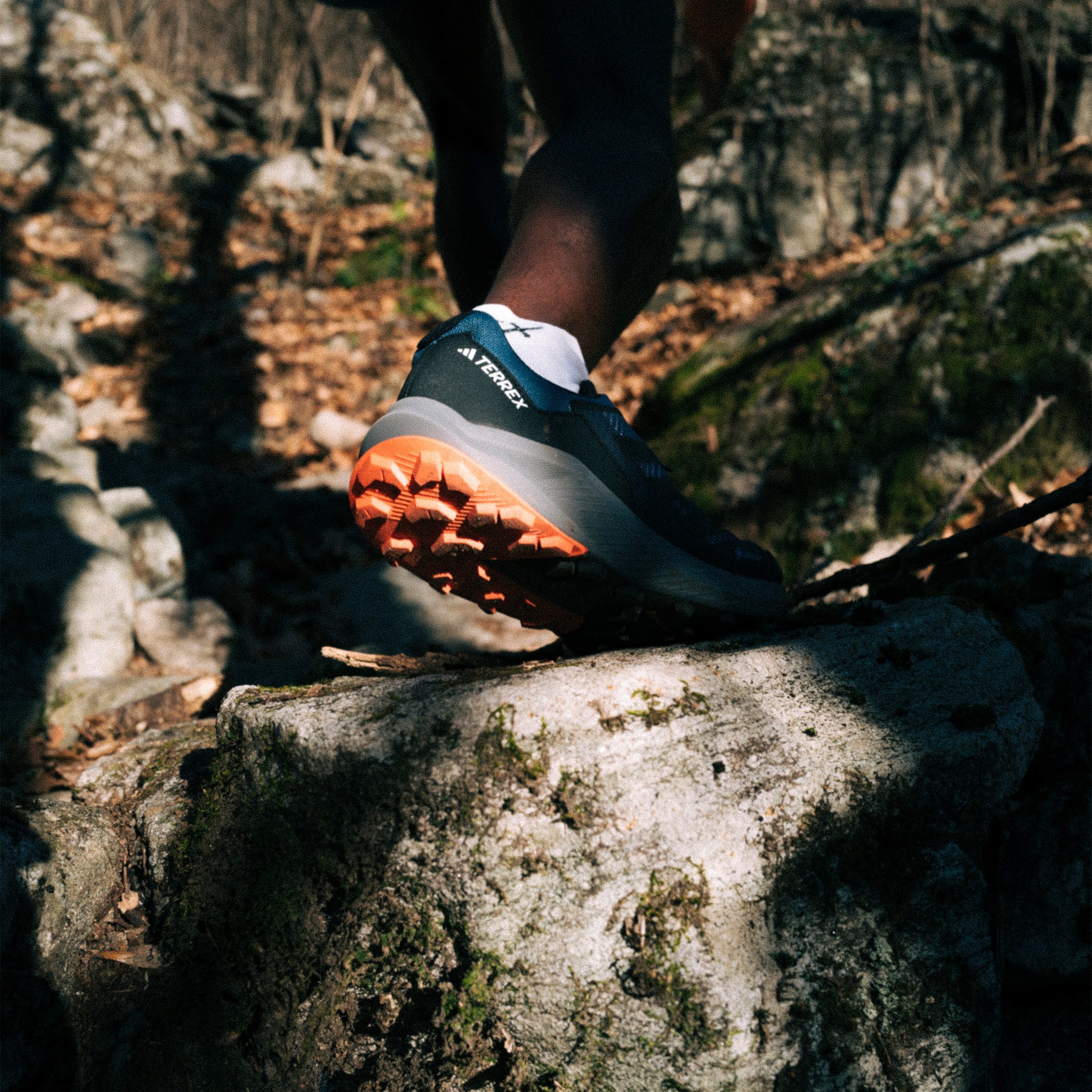 adidas TERREX Trailrunningschoenen TRAIL RIDER GORE-TEX TRAILRUNNING