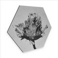 wall-art metalen artprint botanische artprint bloemen (1 stuk) zilver