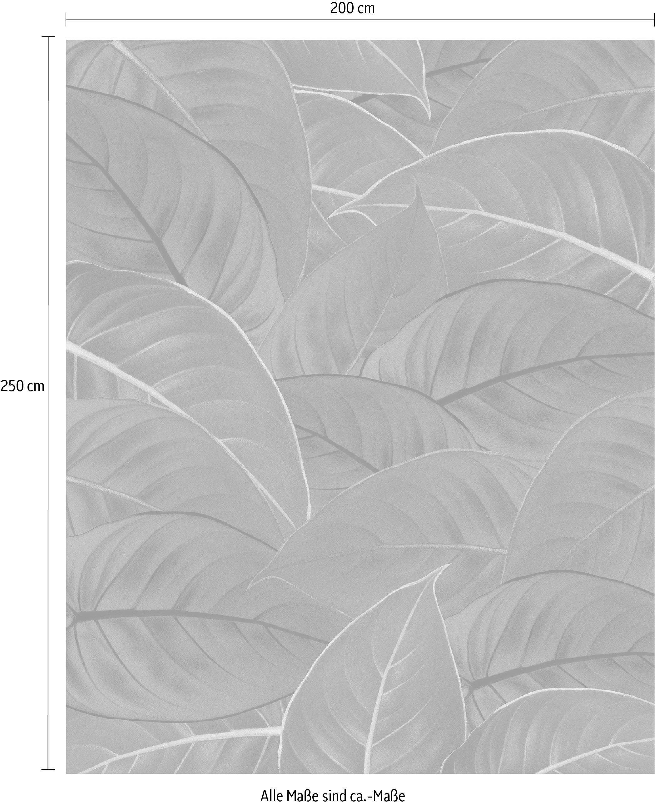 Komar Vliesbehang Digitale print vlies - Foliage - Afmeting 200 x 250 cm (1 stuk)