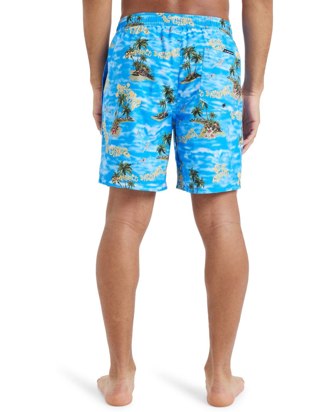 Quiksilver Boardshort Everyday Straight Volley 17"