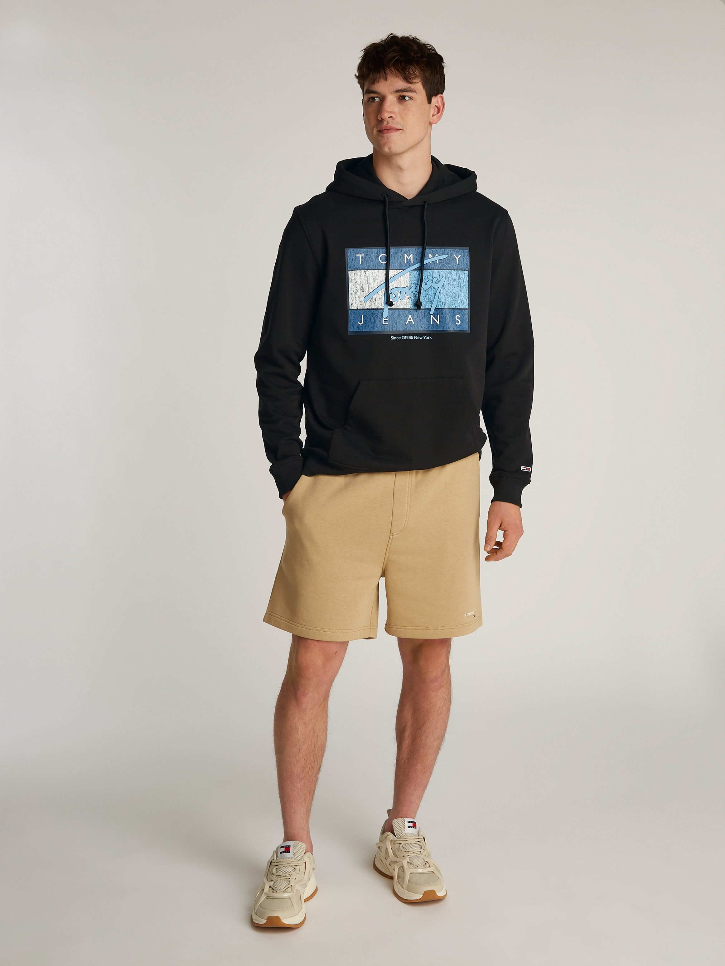 TOMMY JEANS Hoodie TJM REG DNA FLAG TWIST HOOD EXT