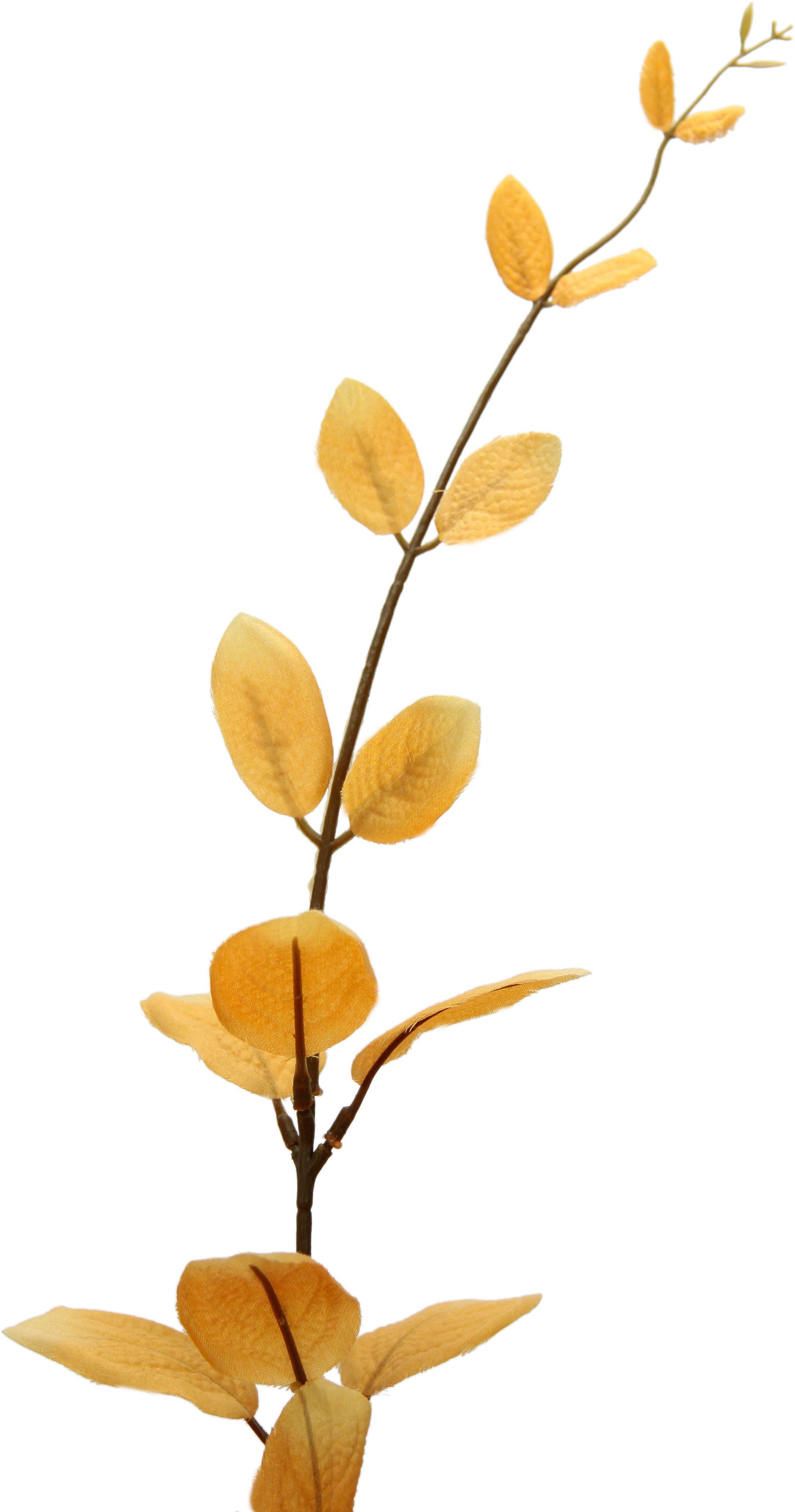I.GE.A. Kunsttak Eucalyptus Kunstmatige decoratieve tak, bladtak, kunstbloemen