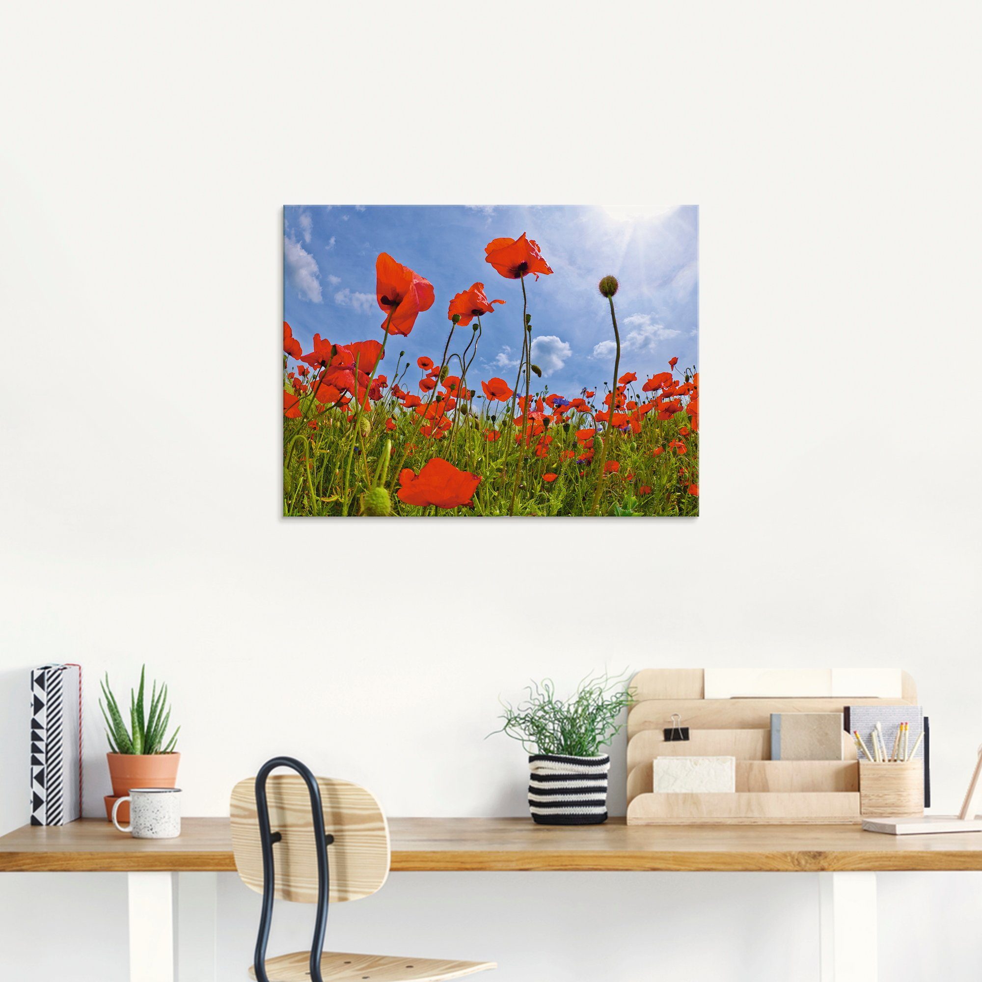 Artland Print op glas Klaprozenveld in verschillende maten