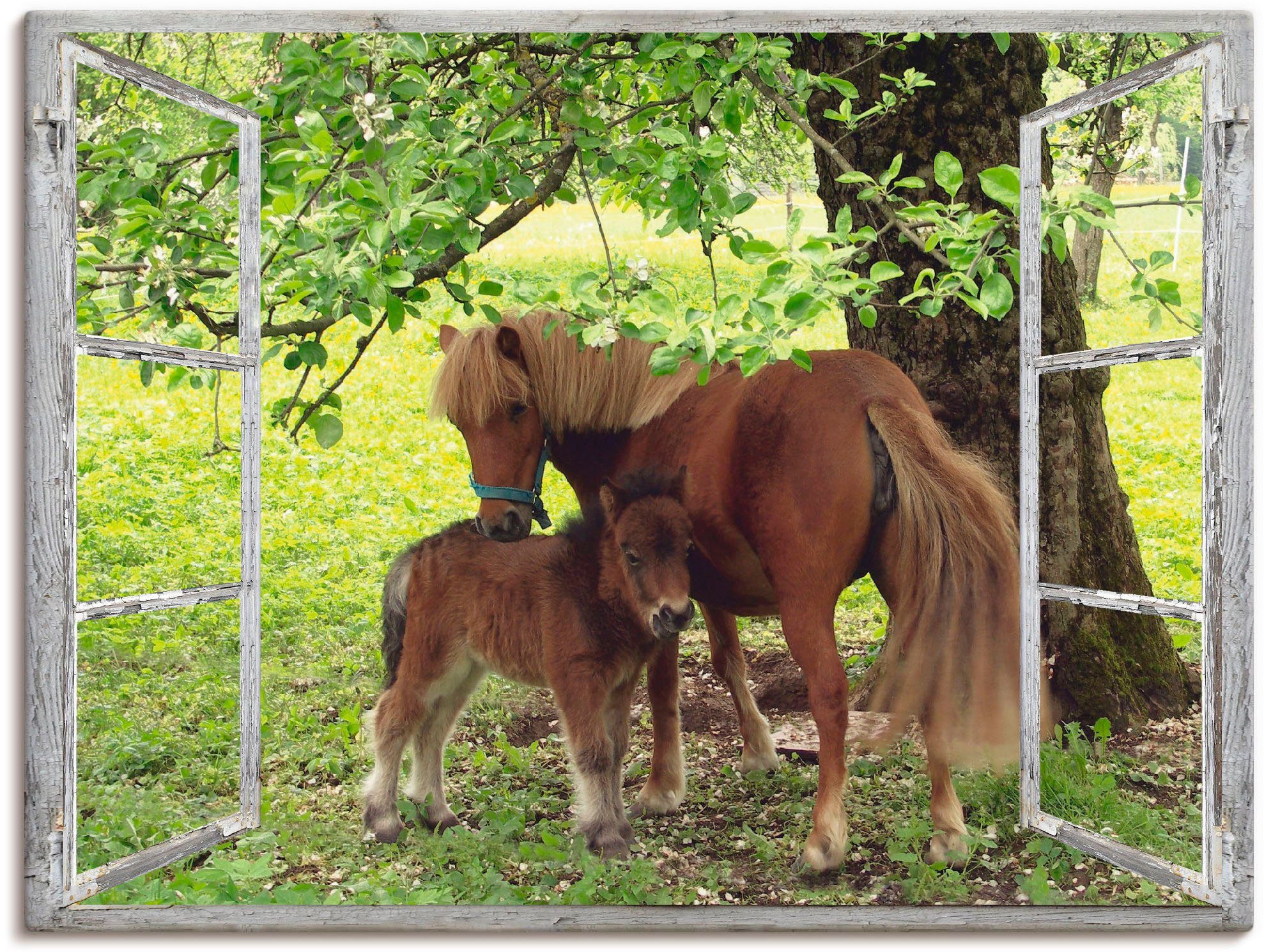 Artland artprint Fensterblick Pony mit Kind