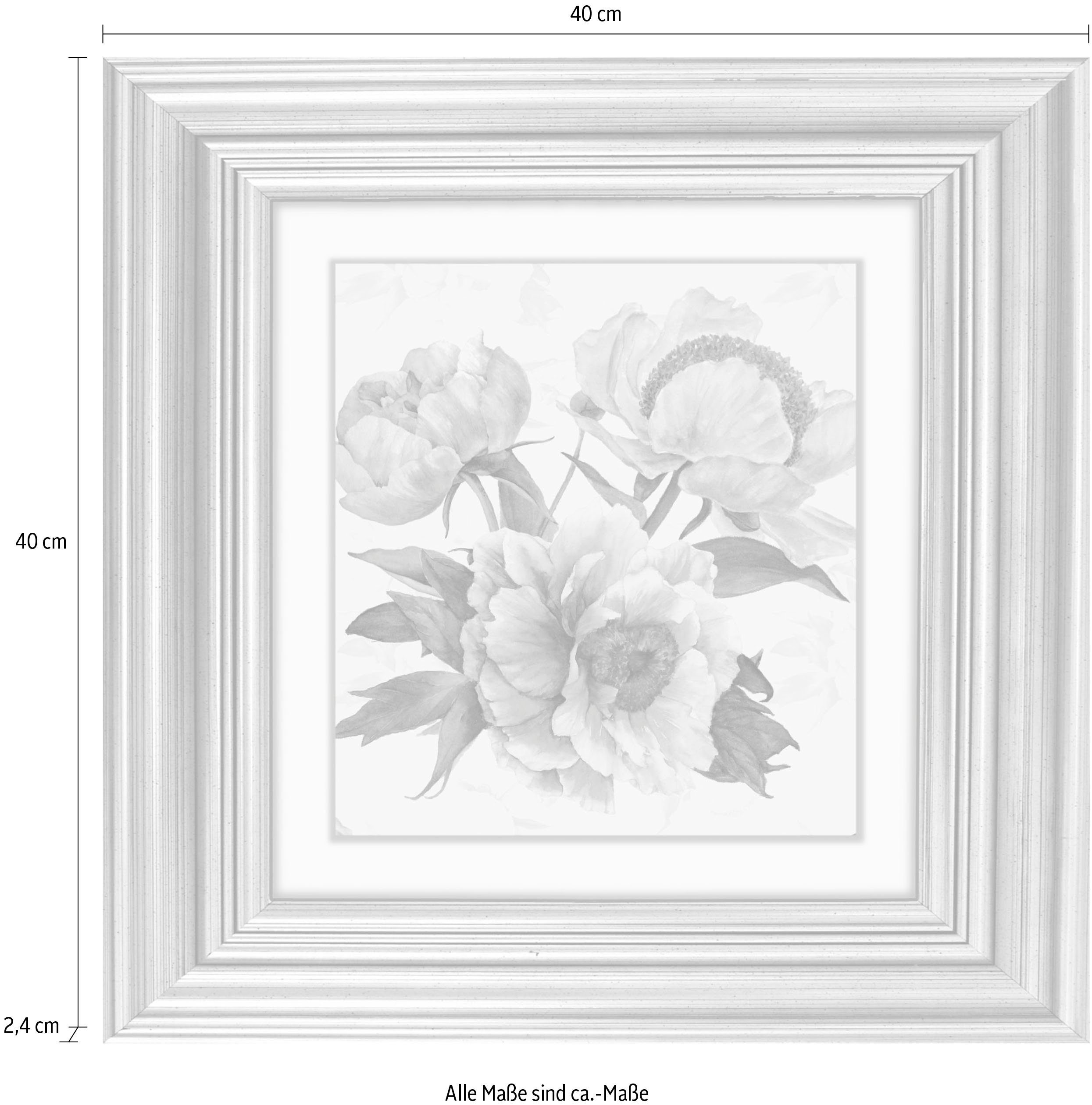 queence Artprint op acrylglas Bloemen Fine Art-print in galeriekwaliteit