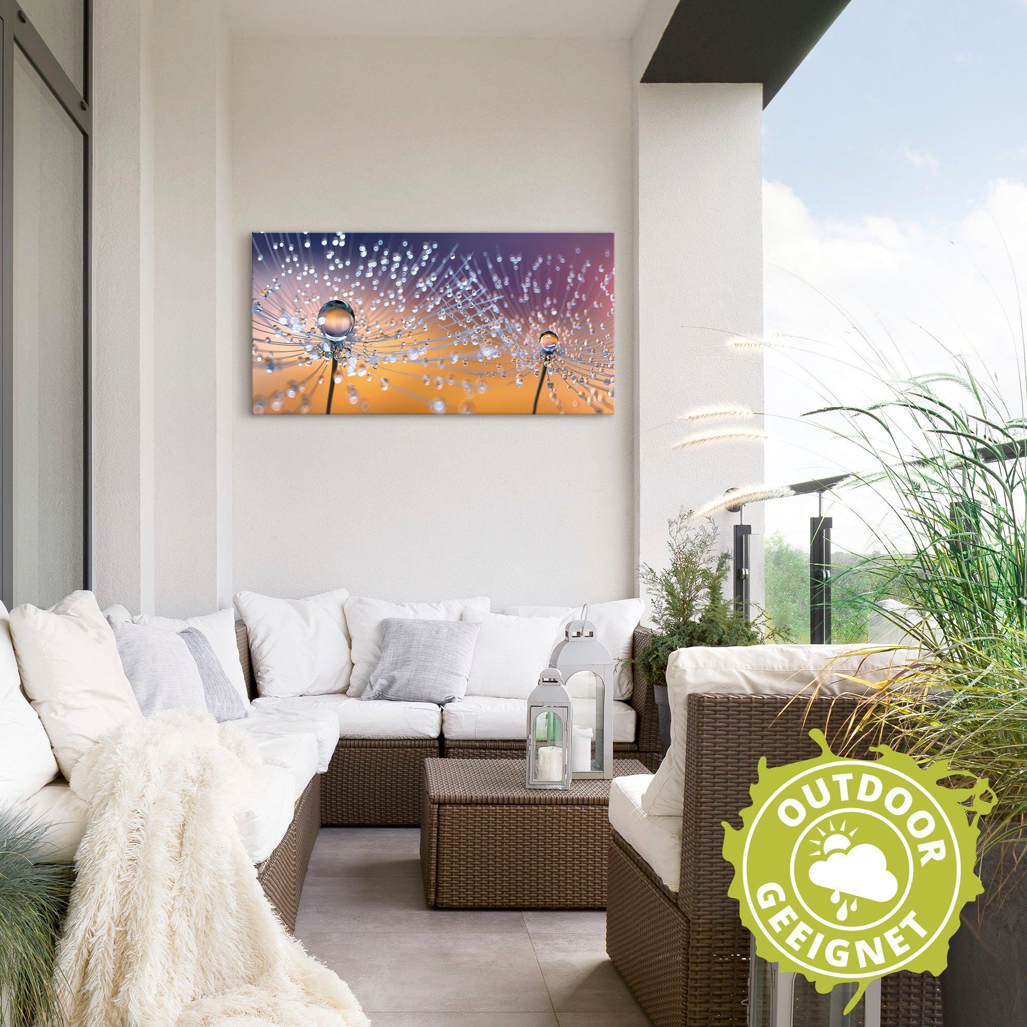 Artland Artprint Paardenbloemen dauwdruppel als artprint van aluminium, artprint voor buiten, artprint op linnen, poster, muursticker