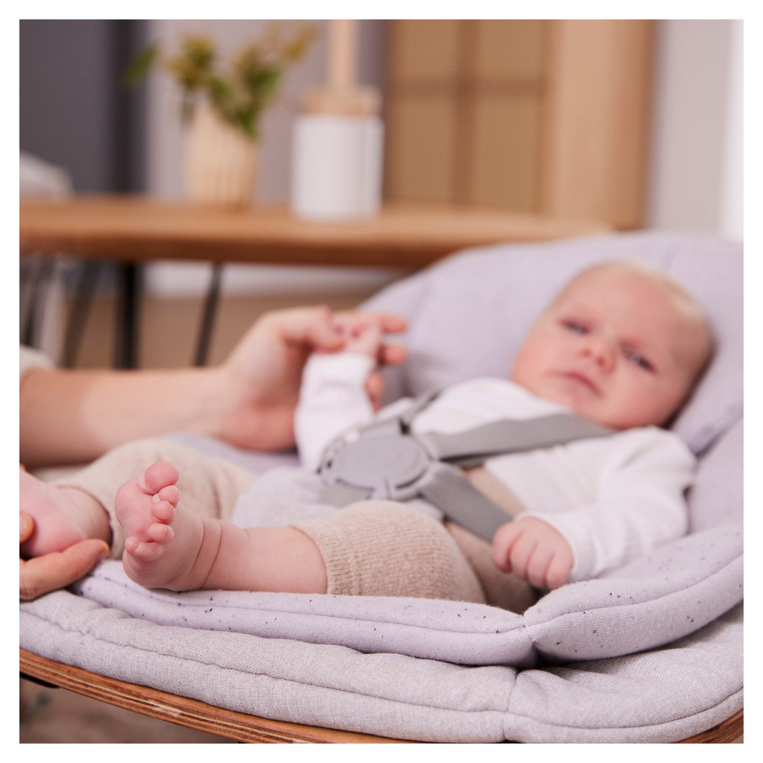 Hauck Opzet voor de kinderstoel Eco Bouncer inclusief schommelbasis en alpha-adapter, fsc® - beschermt bossen wereldwijd